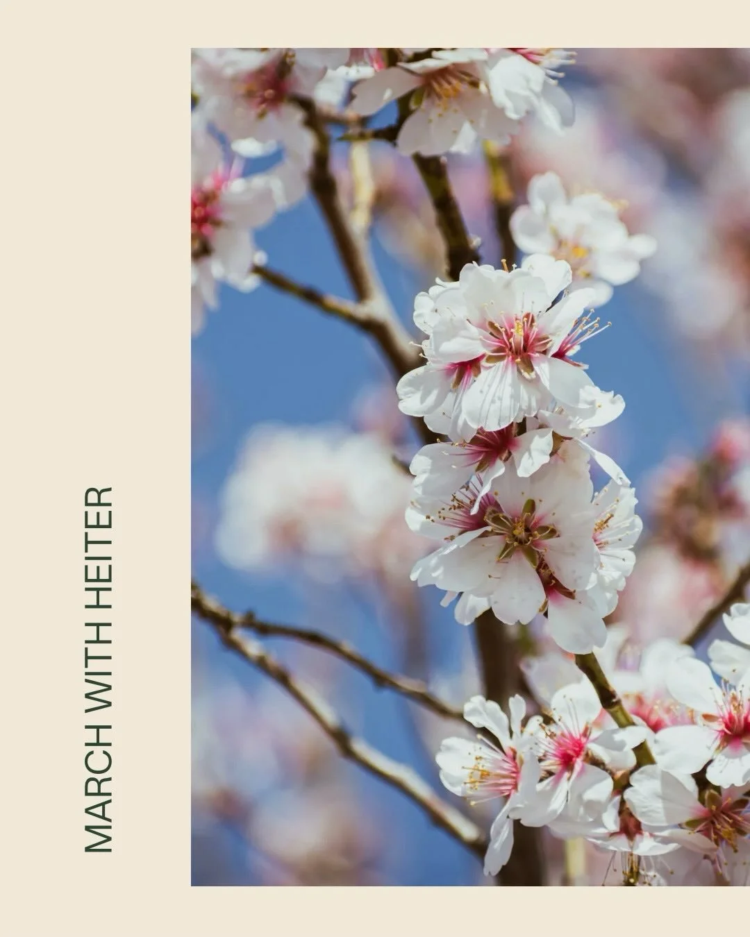 heiter readers and community members, this one is for you! 

Here are all the events we have planned for you this month:

Wednesday, 11th of March, 7.30pm UK | 8.30pm CET: Beginners mat Pilates with Kimberly of @studio70glasgow - online for all Heite