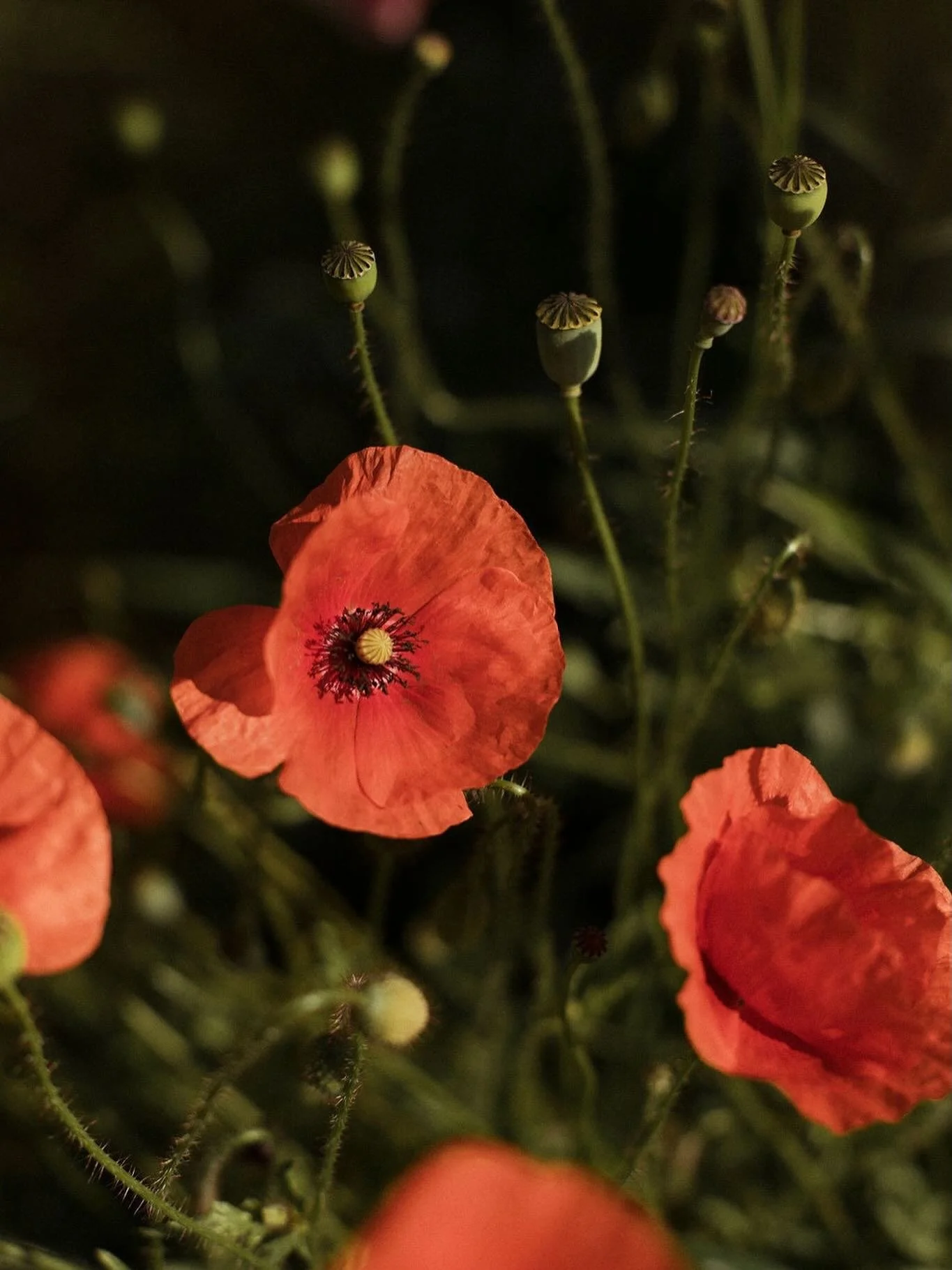 In honour of this month&rsquo;s International Women&rsquo;s Day, we &mdash; together with @heitermagazine contributor, psychologist, inner work coach, TEDx speaker and host @anna_being_aware &mdash; are reflecting on leadership from within. 

For our