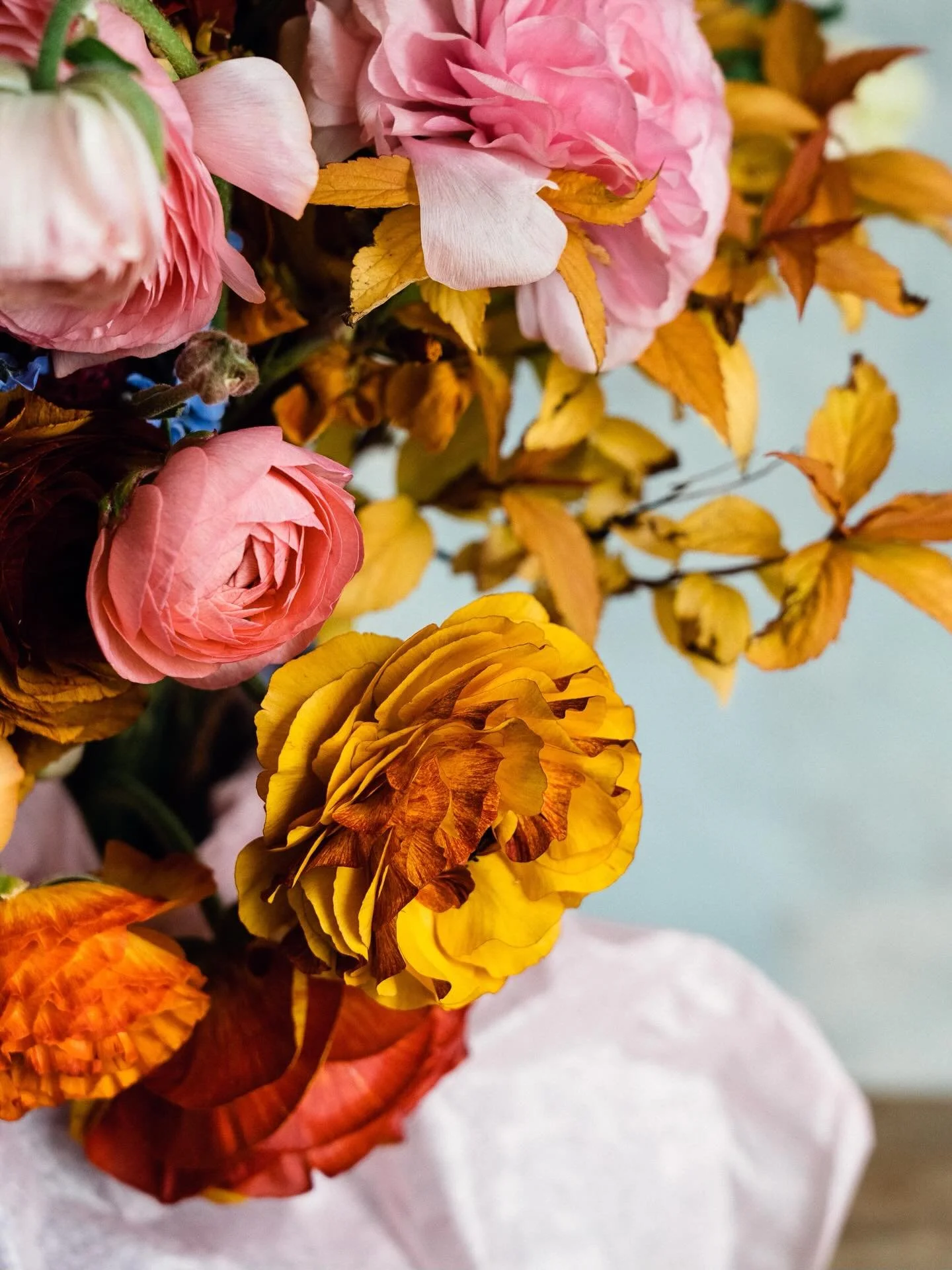 4 REASONS TO LOVE GARDENING FOR YOUR MENTAL HEALTH 

Just in time for the beginning of mental health awareness month - and the weekend -, a new blog feature to ease into.

Contributor @kendallmarieplatt shares why gardening can be a gentle yet powerf