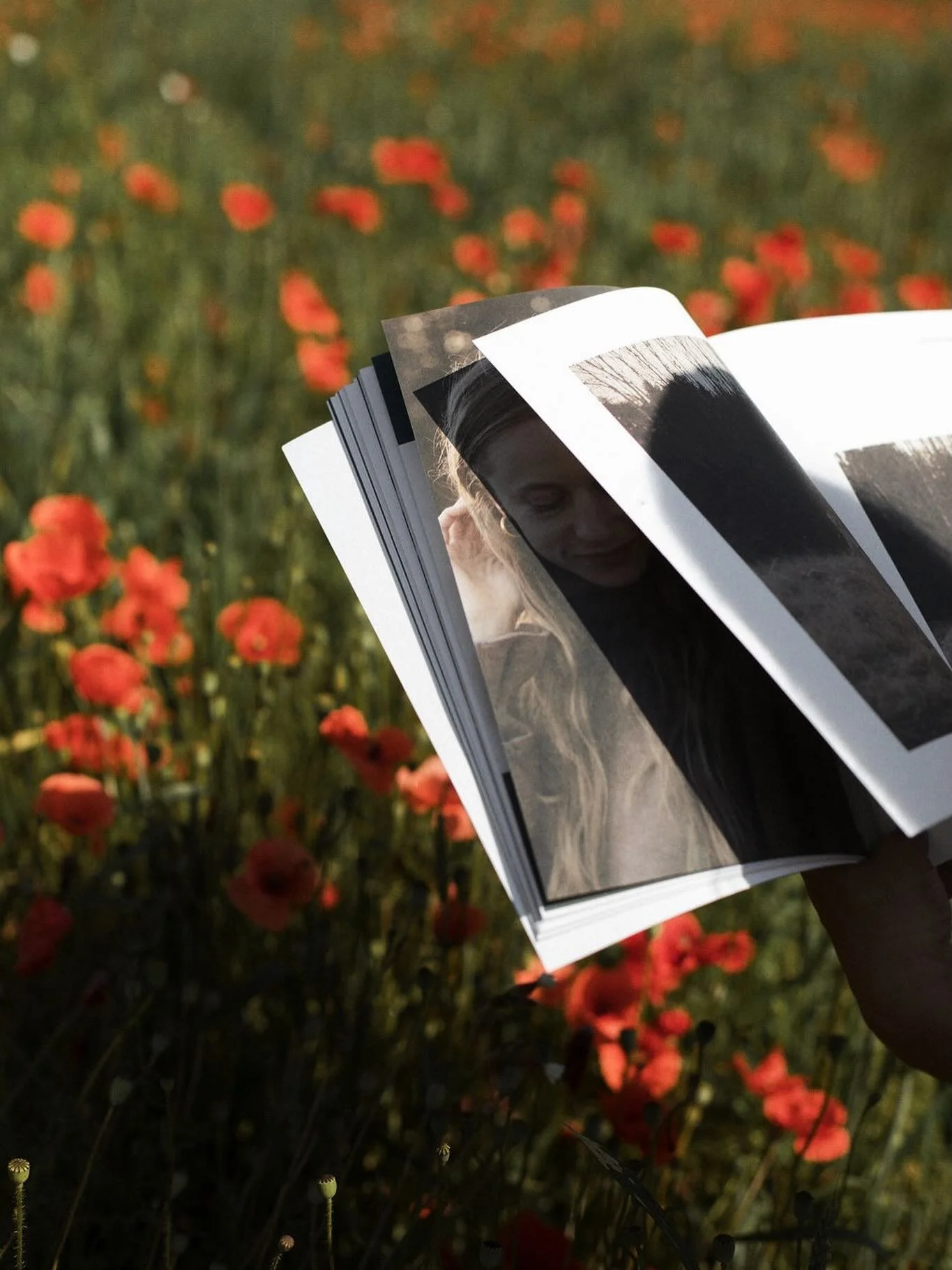 WHAT TO EXPECT FROM HEITER ISSUE 3//BLOOMING

- an interview with writer and author of &ldquo;Why Women Grow&rdquo; @alicevincentwrites 
- a feature on AKYN founder @amy_powney 
- an introduction to Edinburgh&rsquo;s plant ladies including Rosanna Co