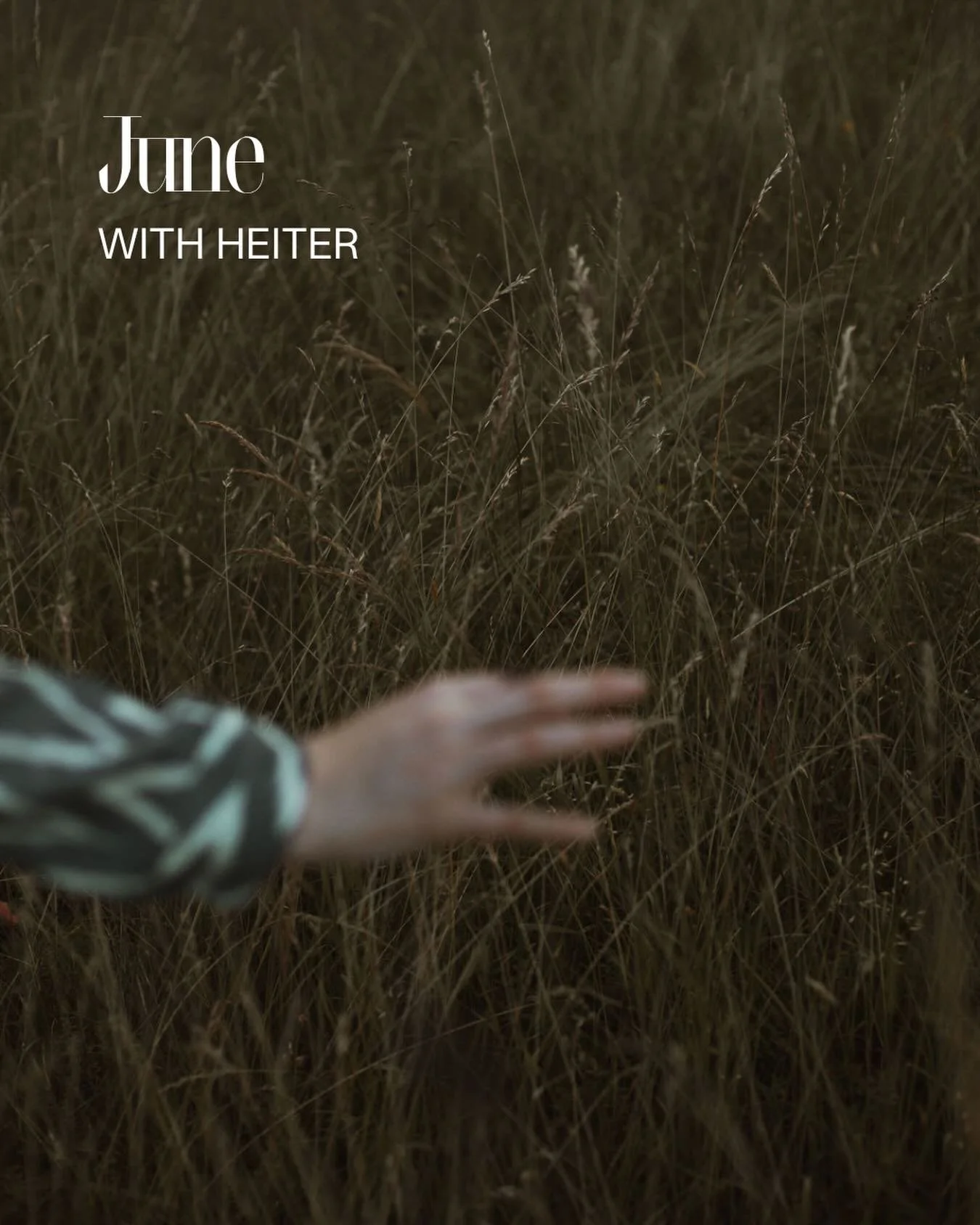 June is going to be a special month here at heiter. We have our quarterly book club meet come up, a workshop, the last mediation session before the summer and much more. The most important date will probably be the final day of our crowdfunding campa