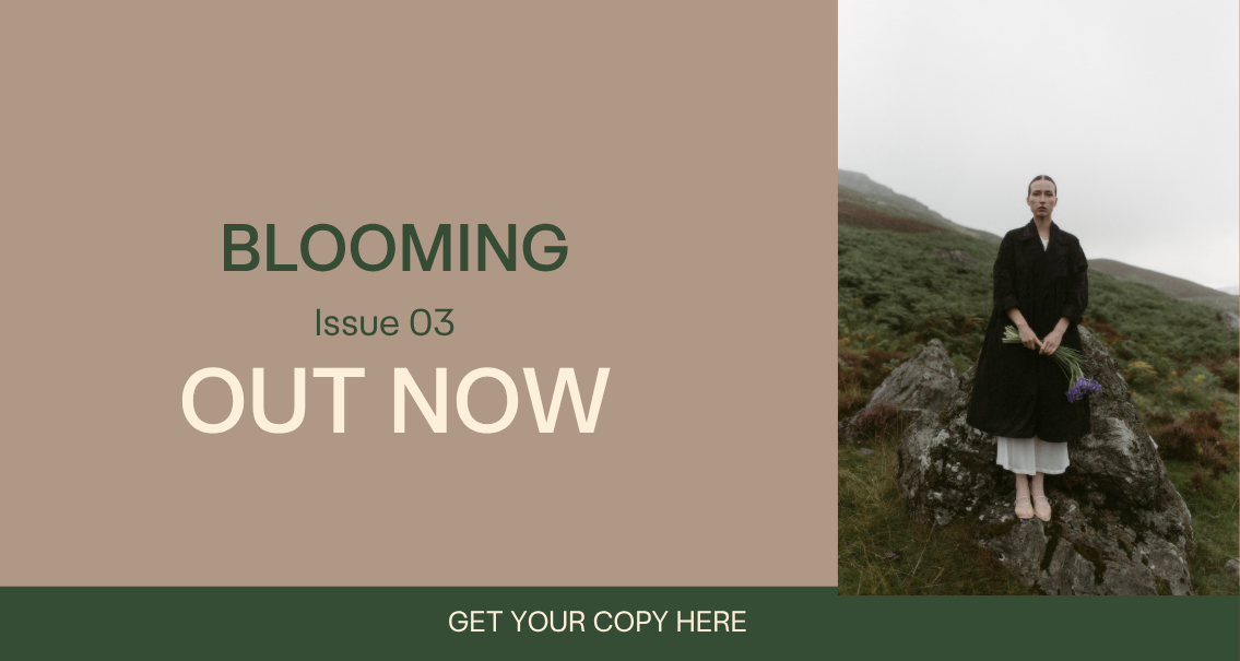 heiter issue 03, out now