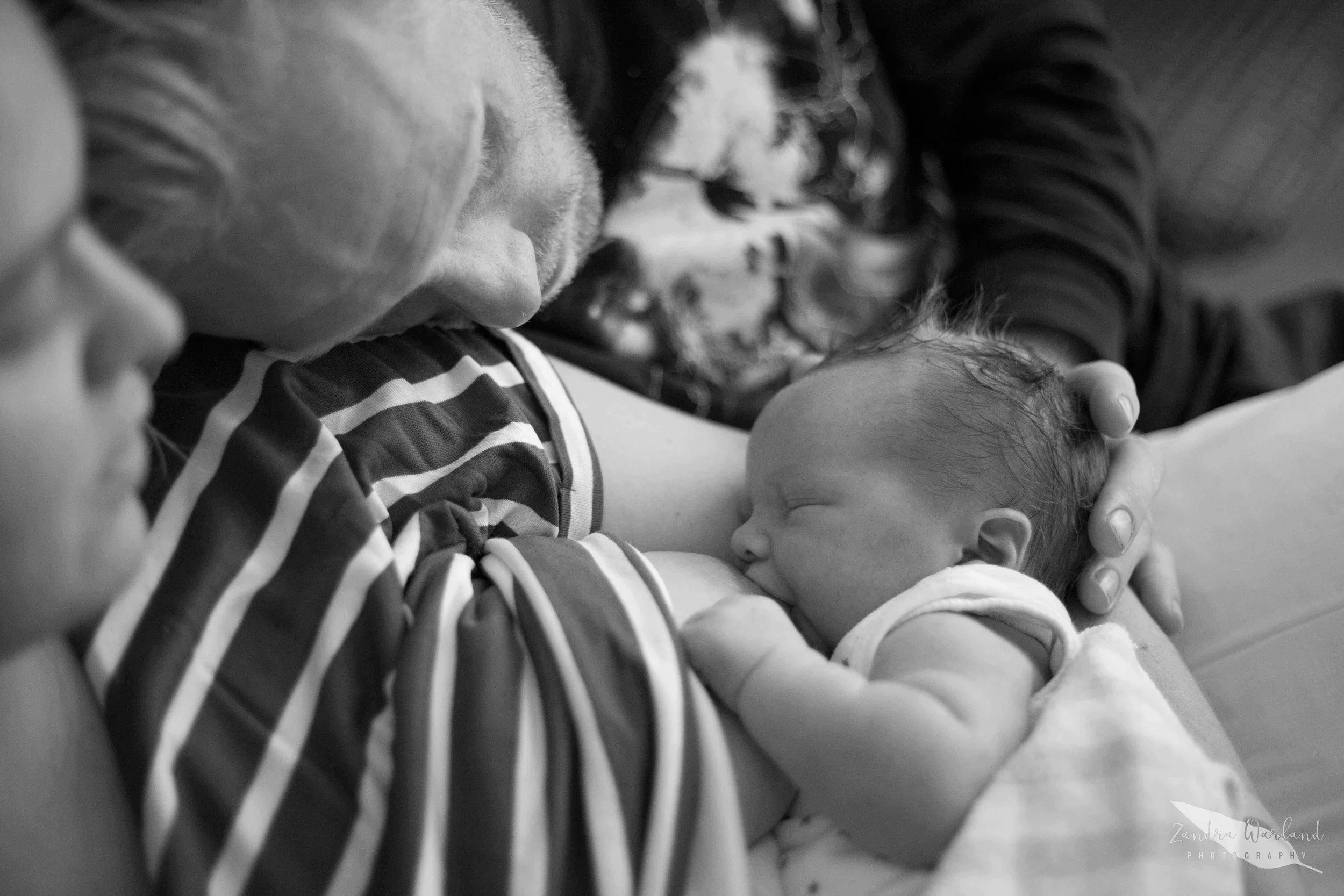 The Birth of Baby Angus.