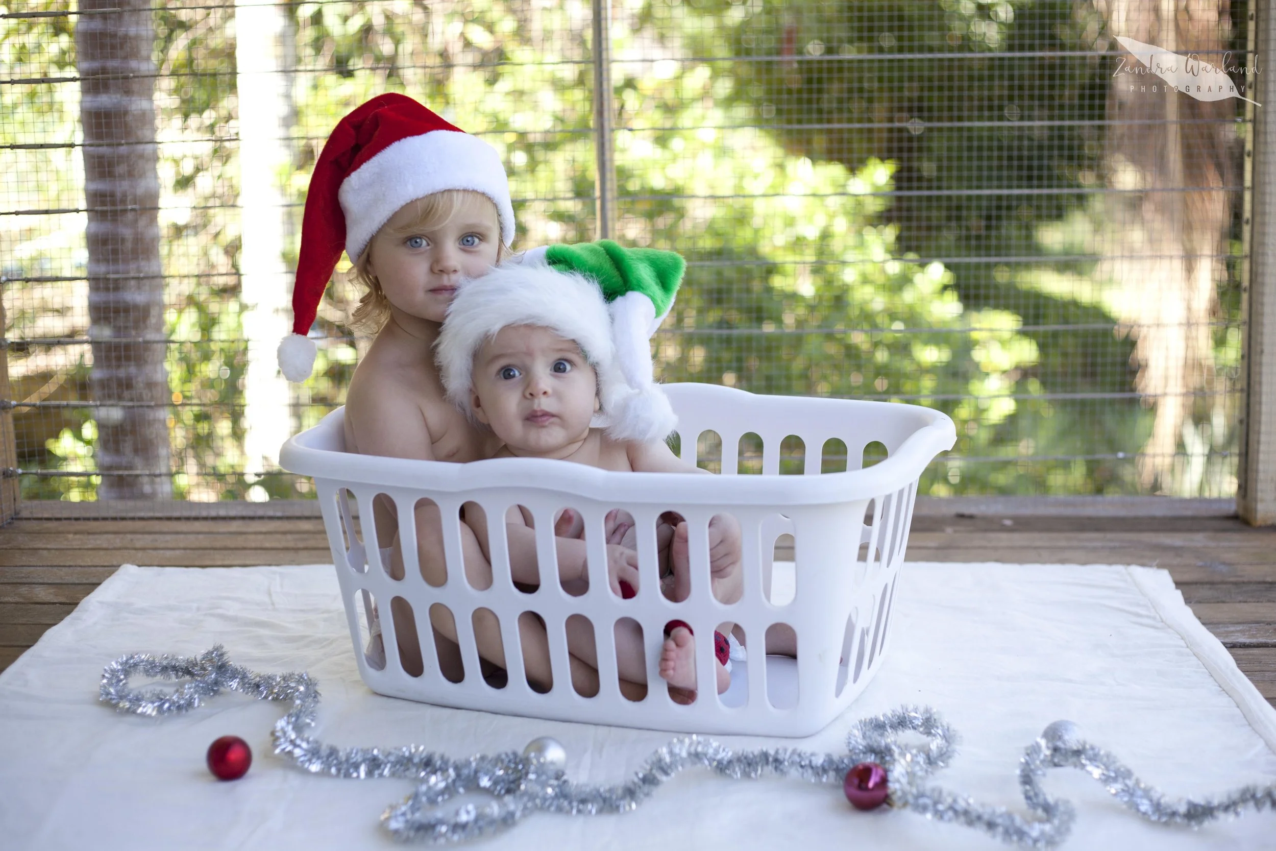 Xmas2014small.jpg
