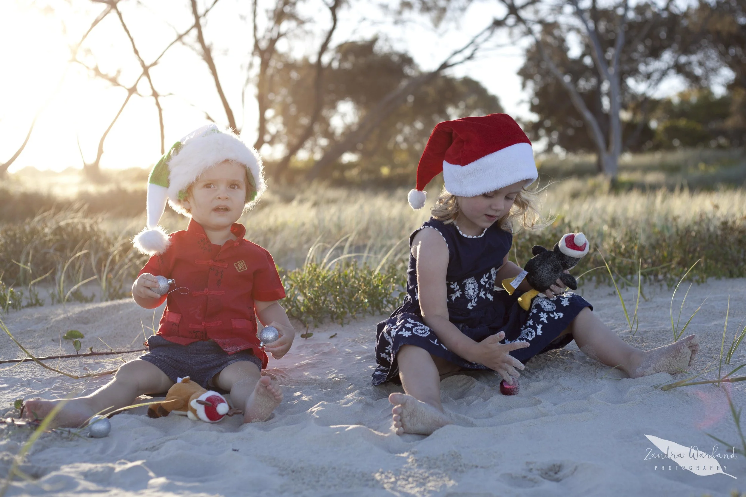 Xmas2015small.jpg