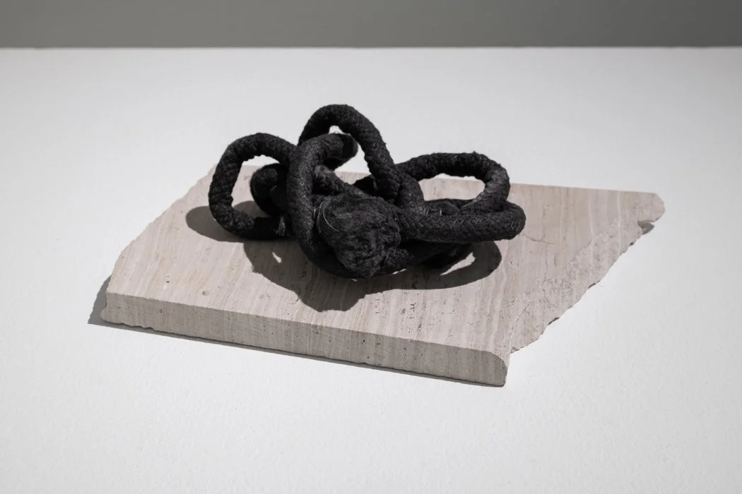 HW-430-Elemental Things (undo)-lr.jpg