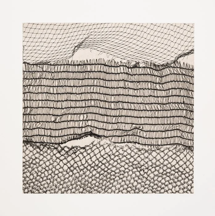 Path (Wave)