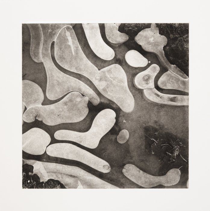 Path (Surface)