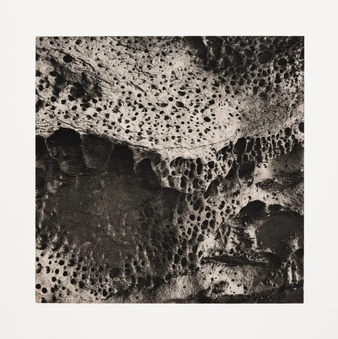 Path (Echo)