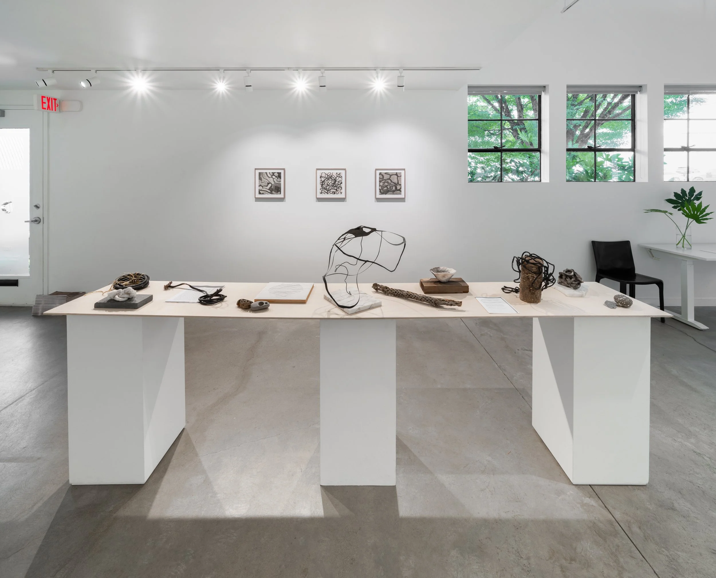 PDX-Visual-Fields-DZ2_6367.jpg