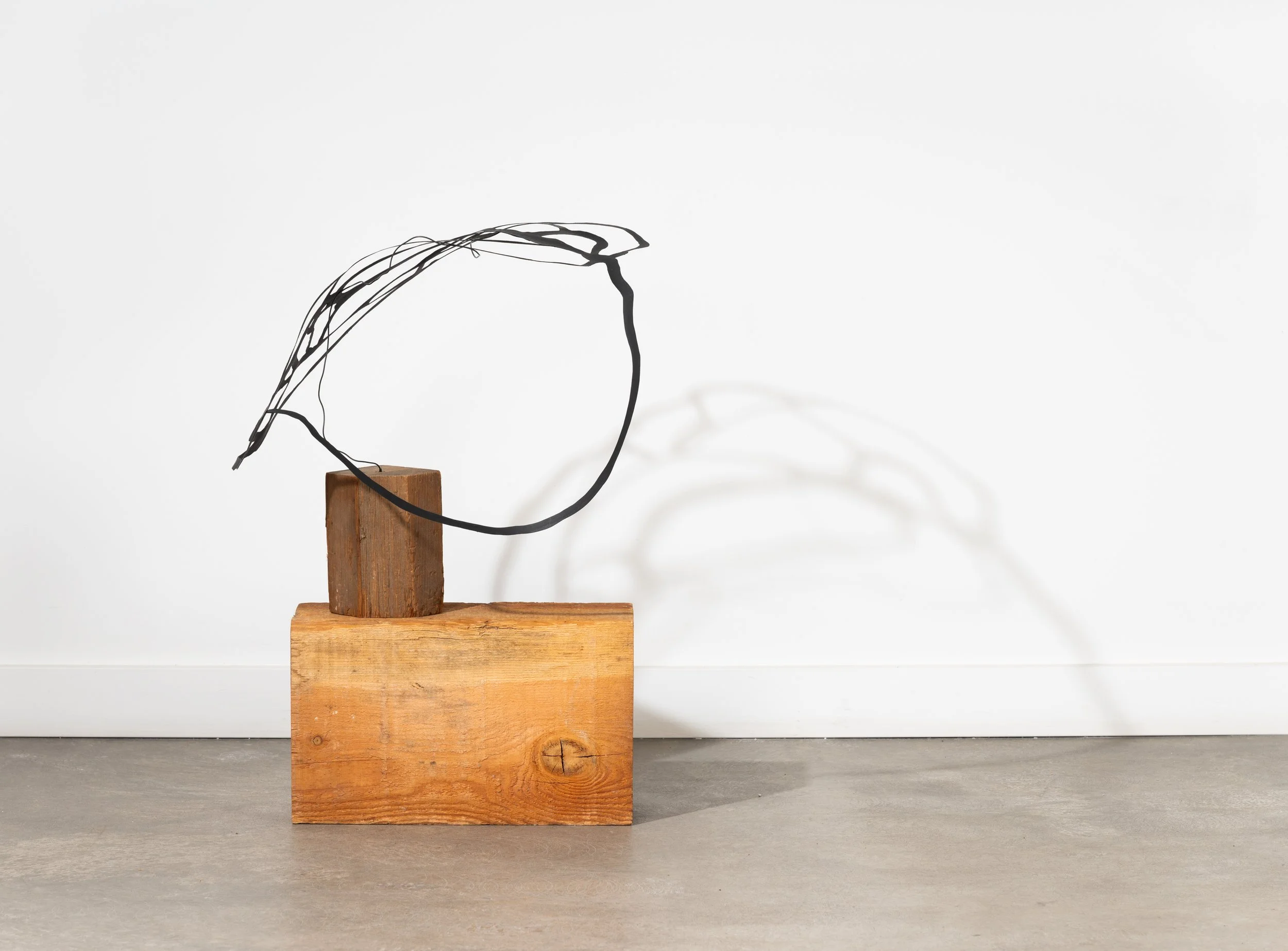 PDX-Watkins-Elemental-Things-DZC_0281-web.jpg
