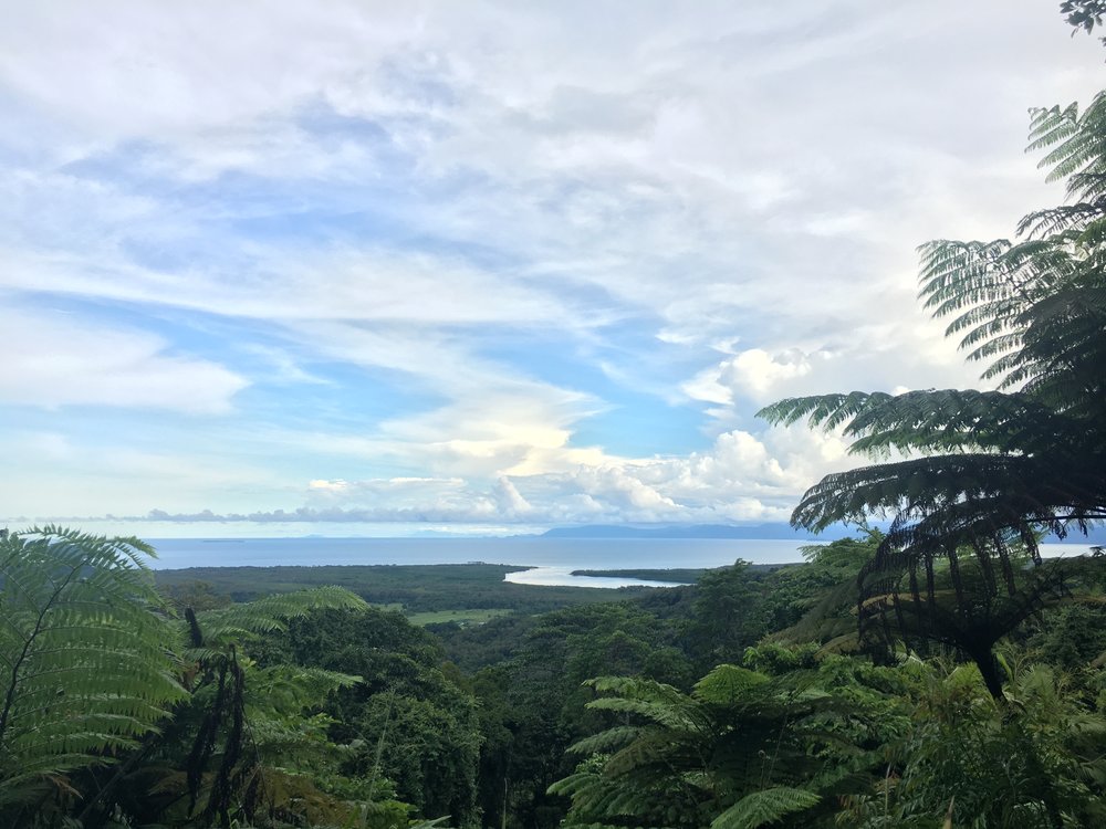 Daintree Rainforest