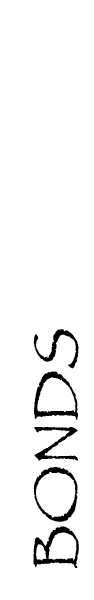 bt.jpg