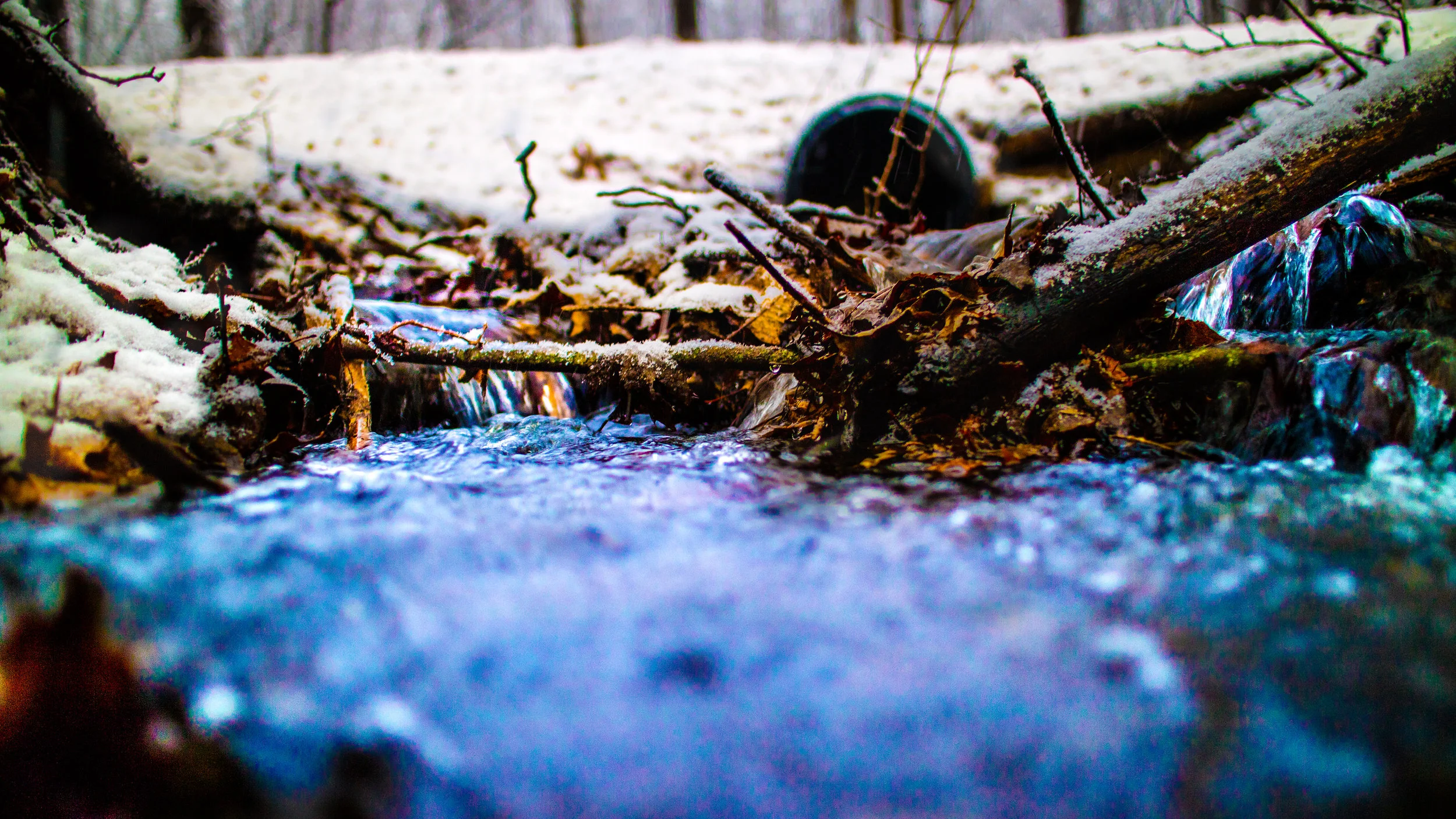 Creek Flow