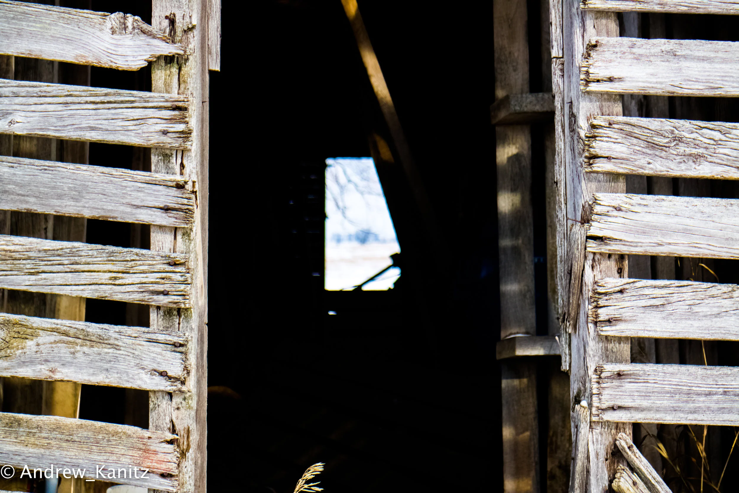 Doors