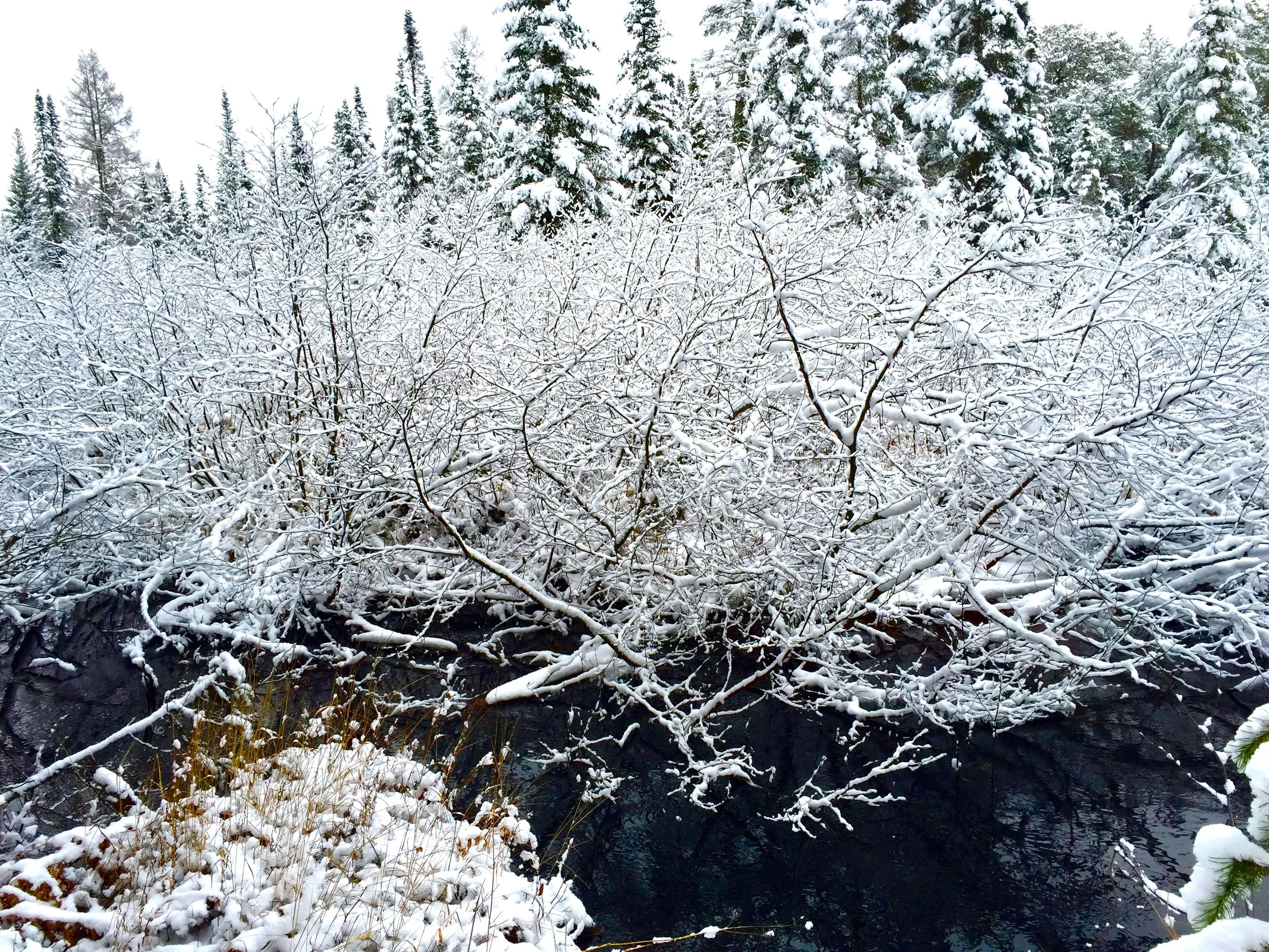 Northern Snow