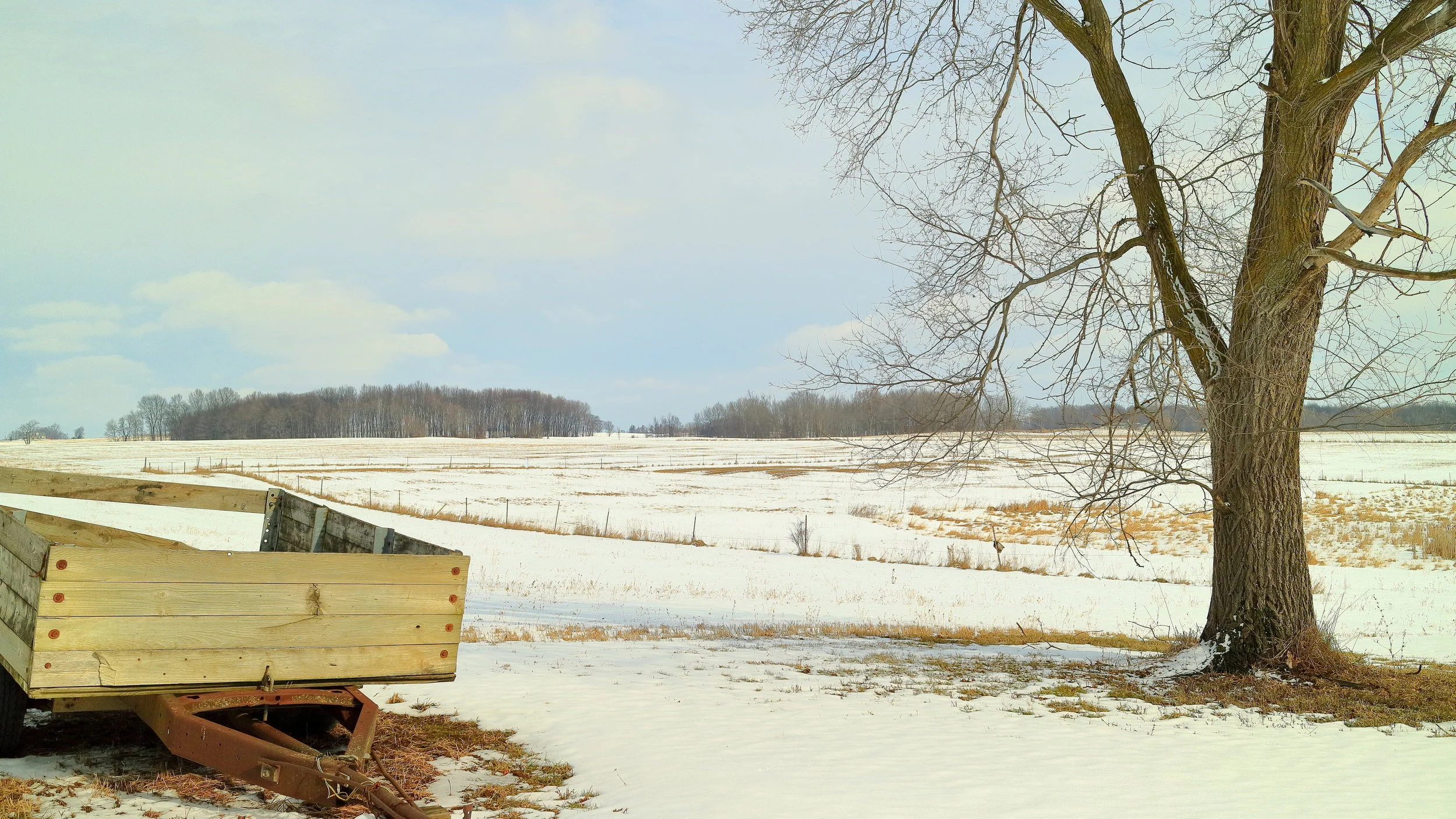 Fields and Wagons