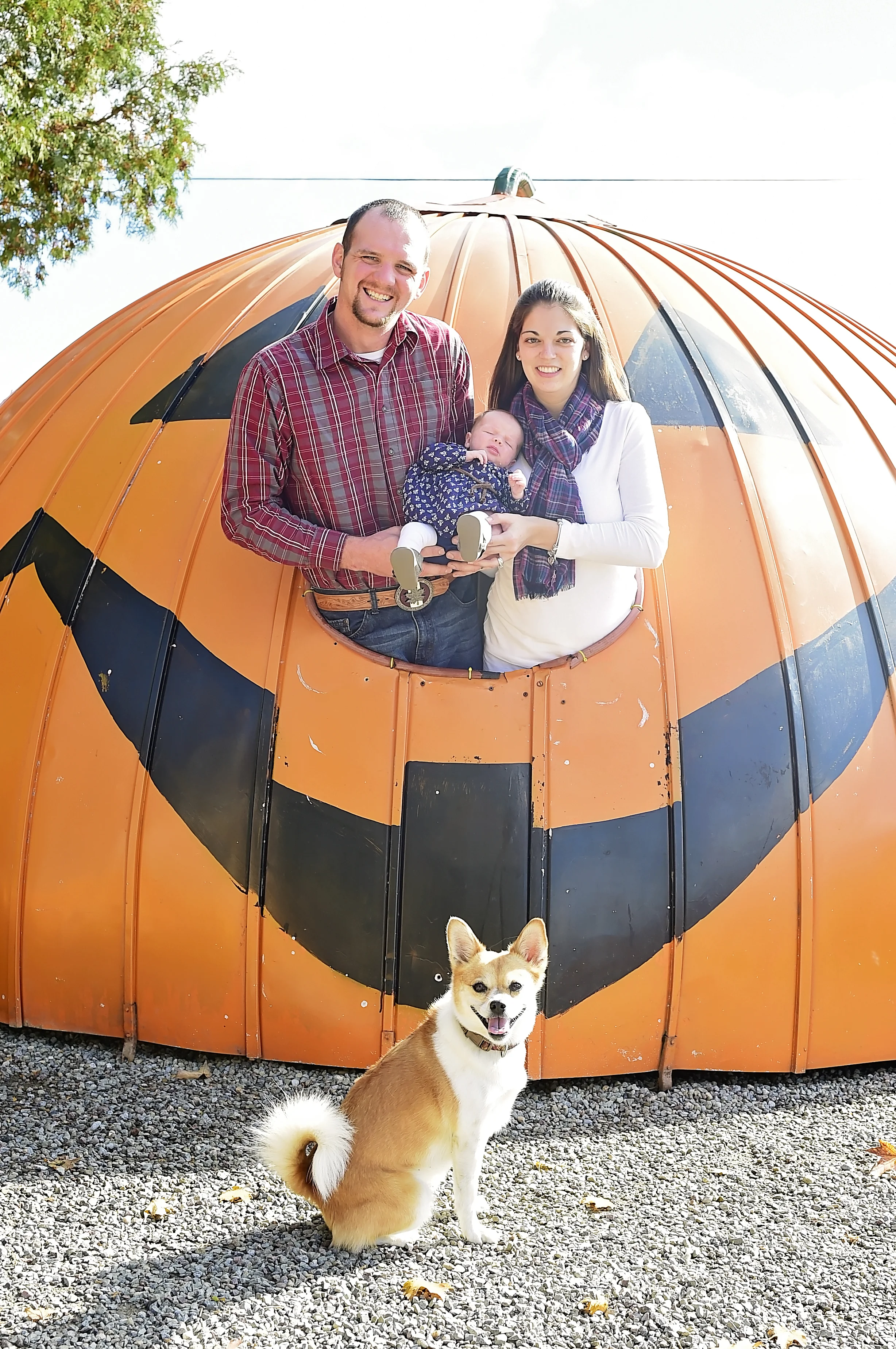 The Wendel Family