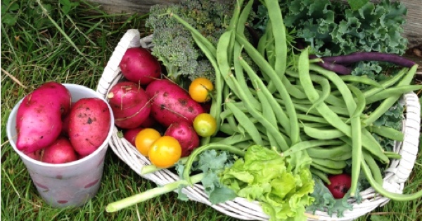 vegetable-garden-ideas.jpg