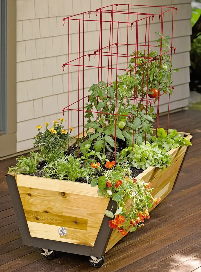 low-garden-bed.jpg