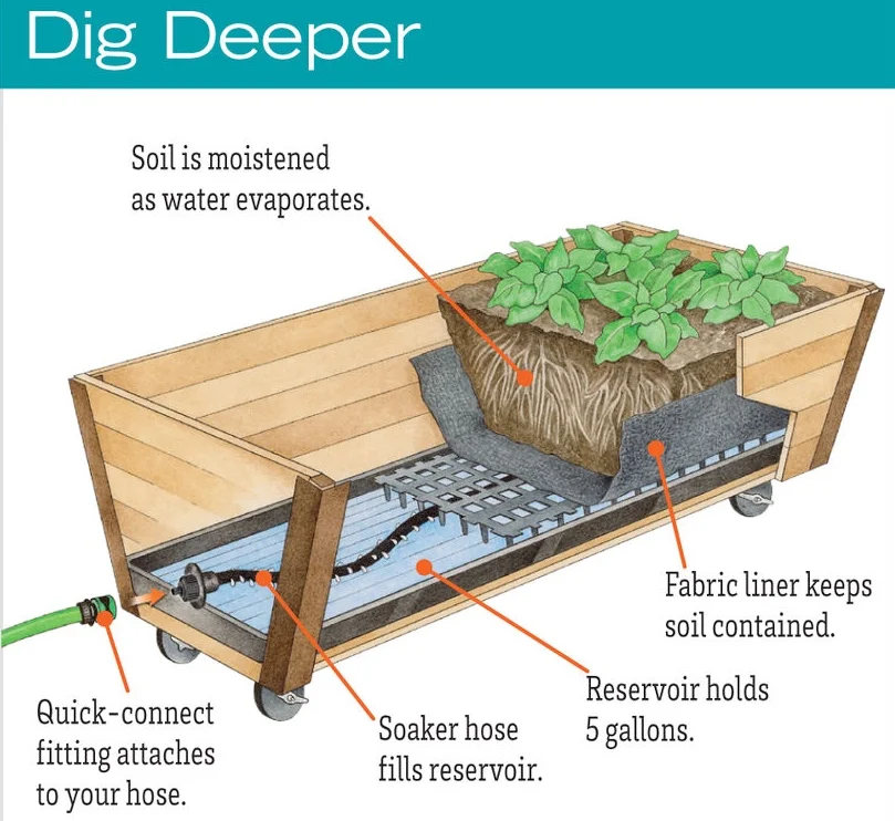 deep-garden.jpg