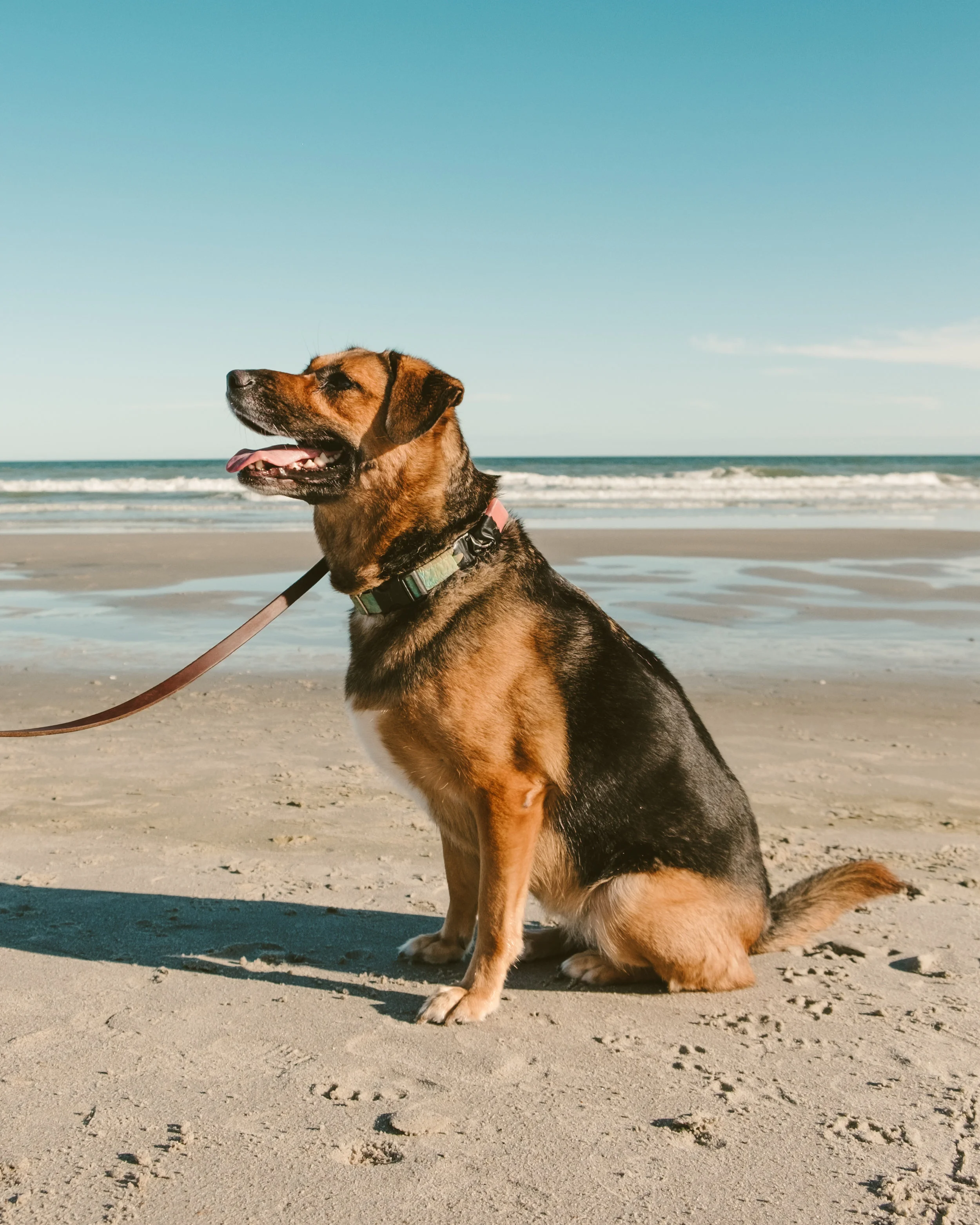 myrtle beach-20.jpg