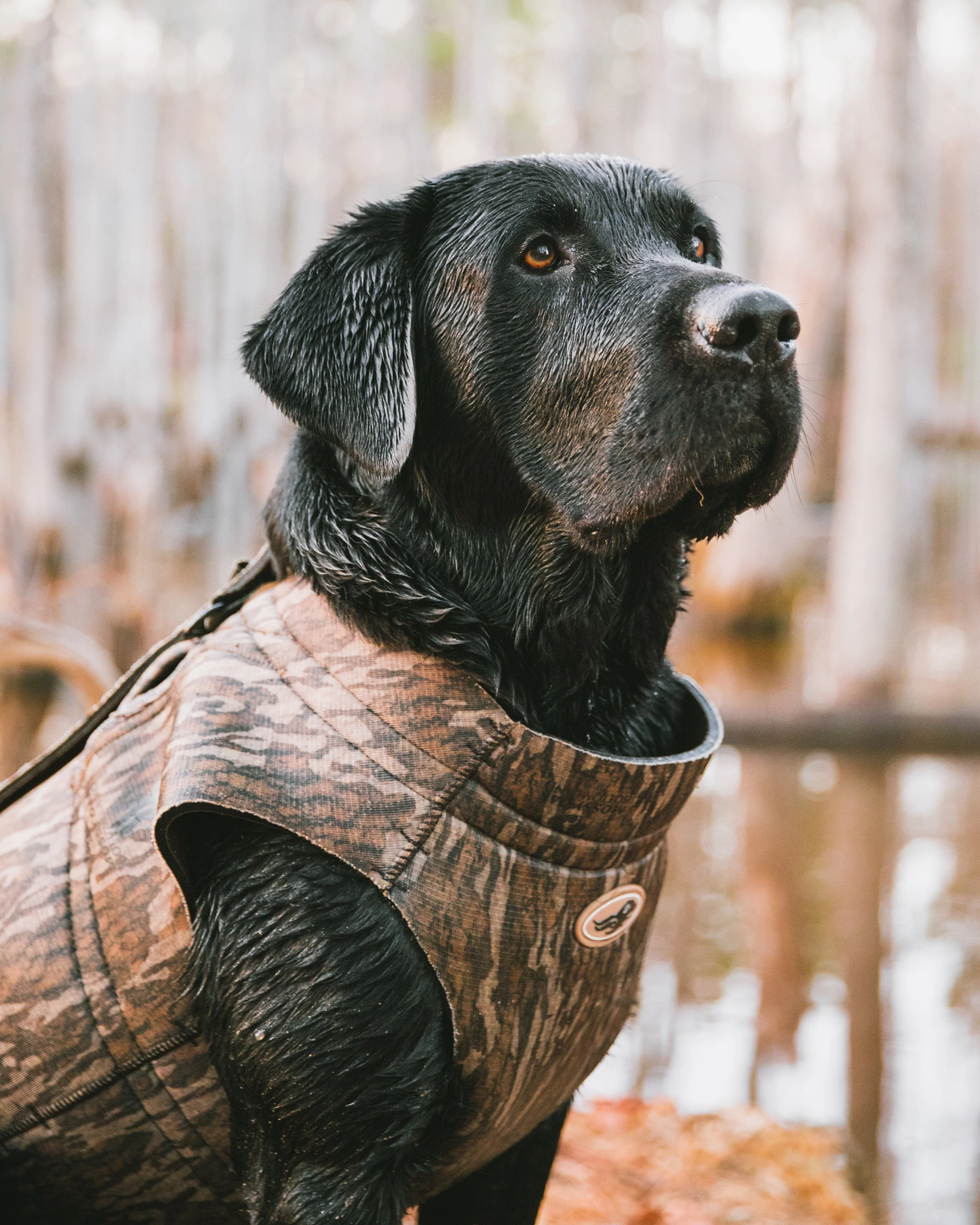 Stoeger-61.jpg