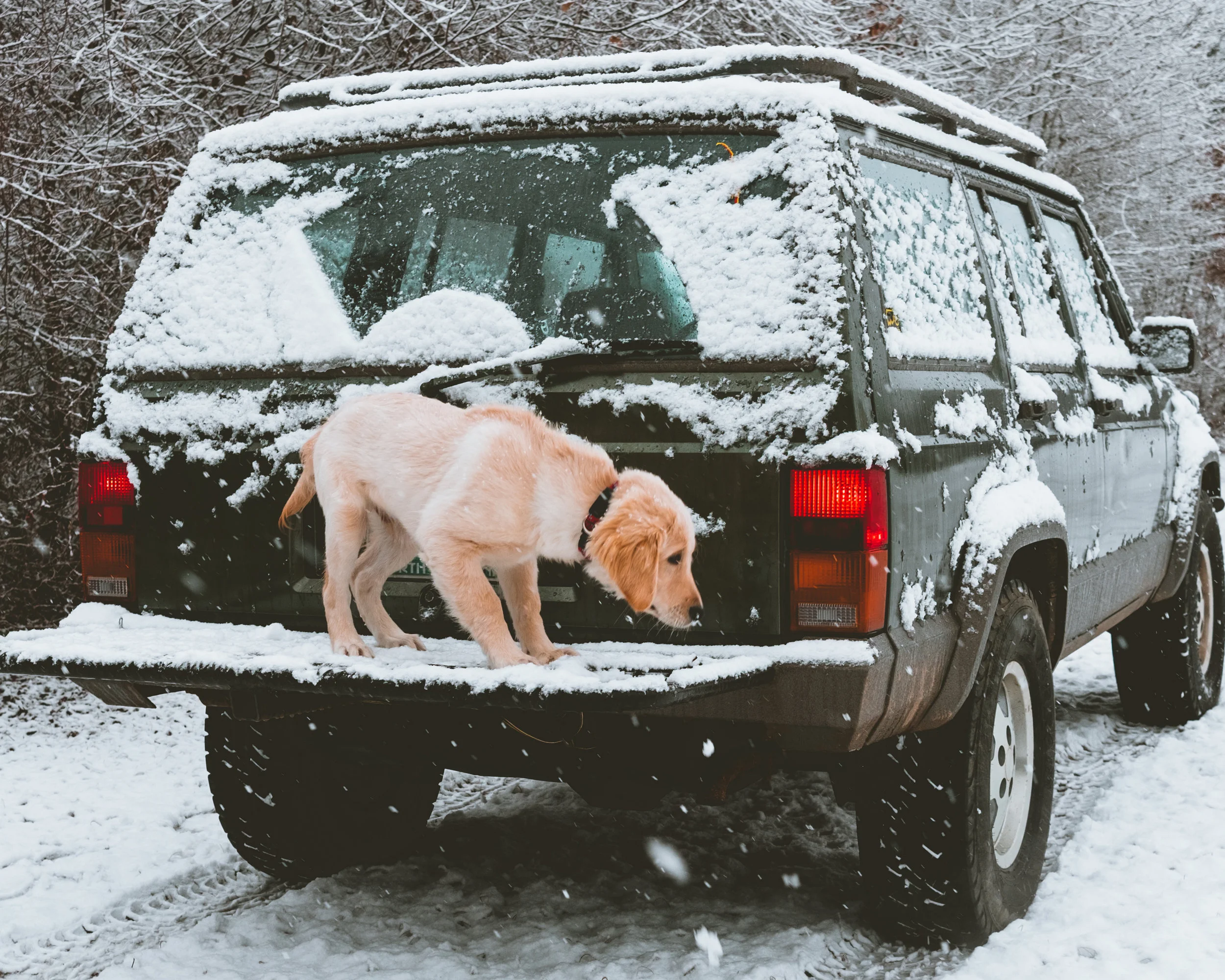 Snow.jpg
