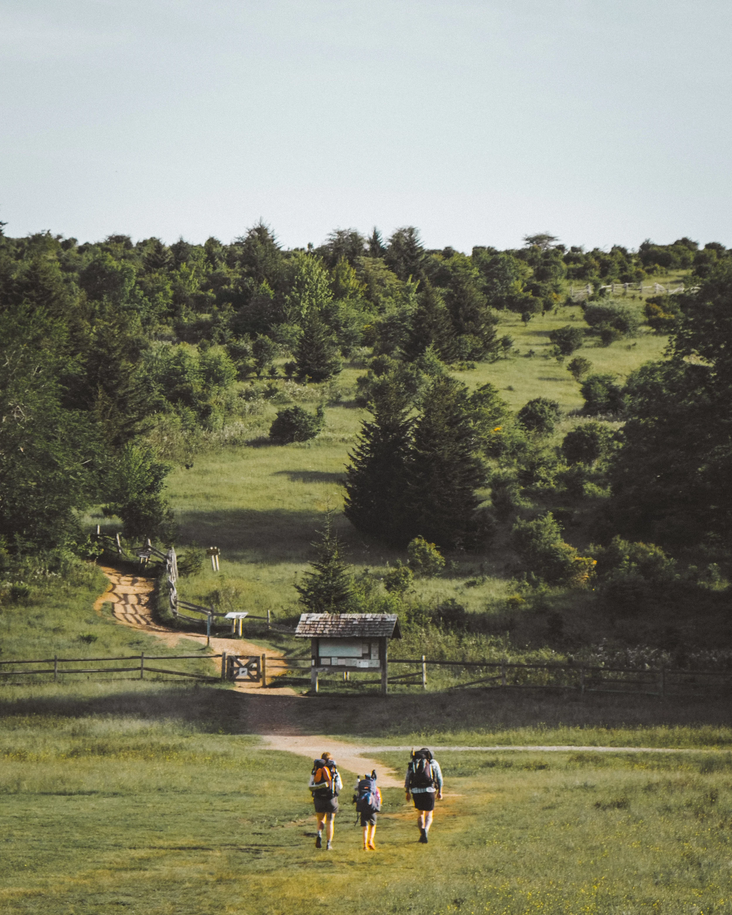 Grayson Highlands-4-2.jpg