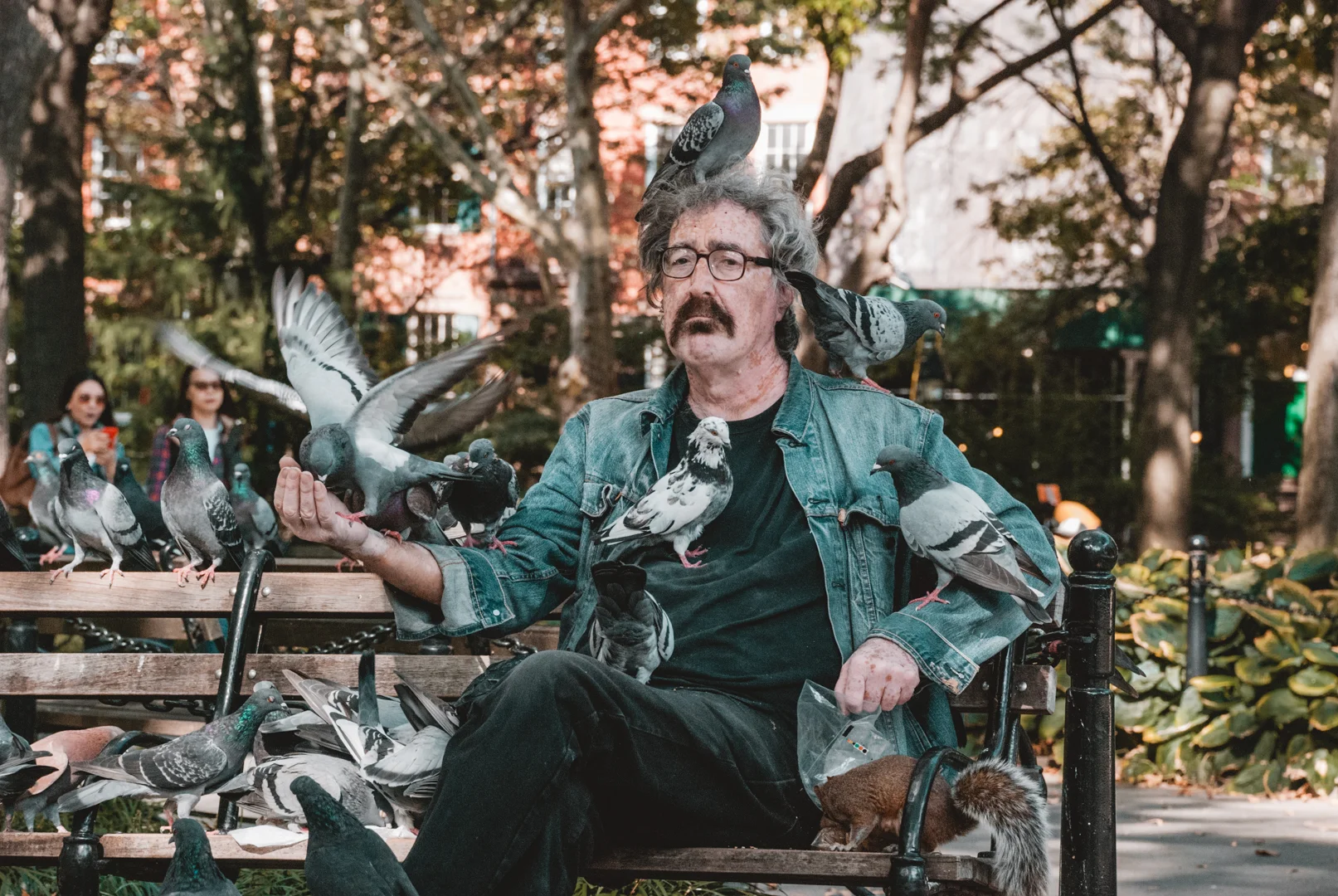 bird man.jpg