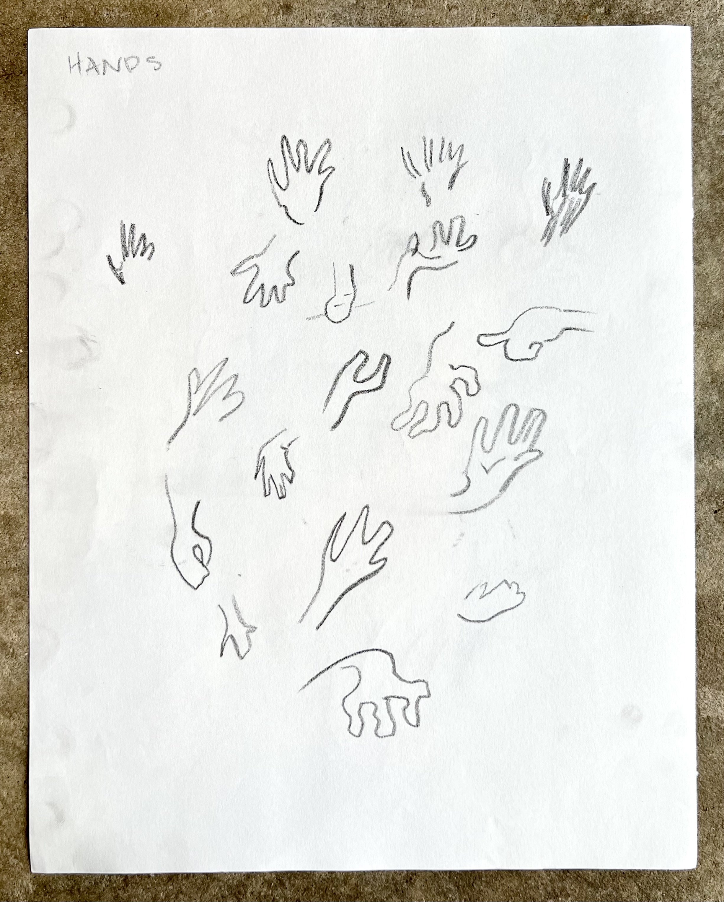 Hand studies iii (reverse of Foot studies ii)