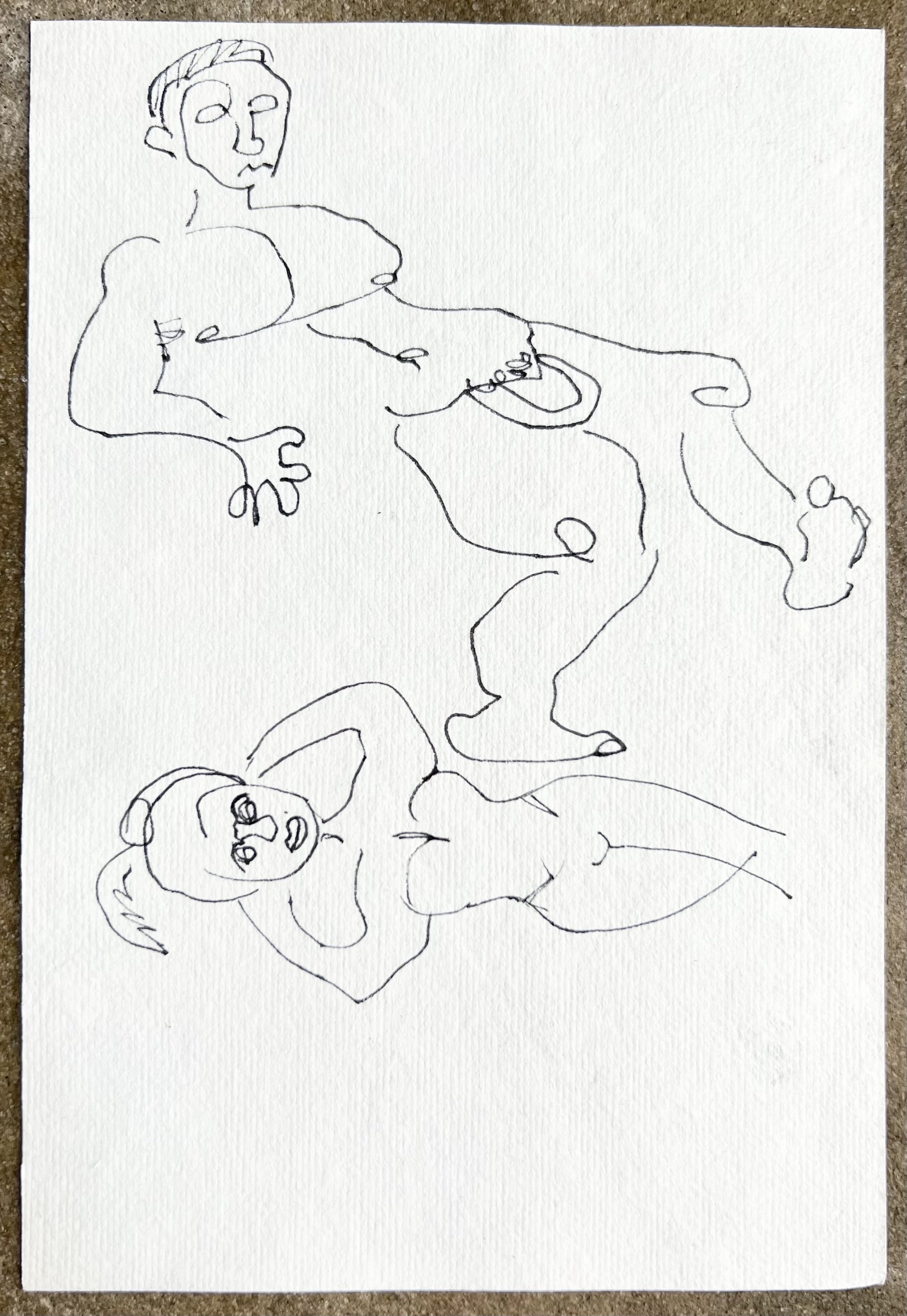 Figure contour ii (reverse of Figure contour i)