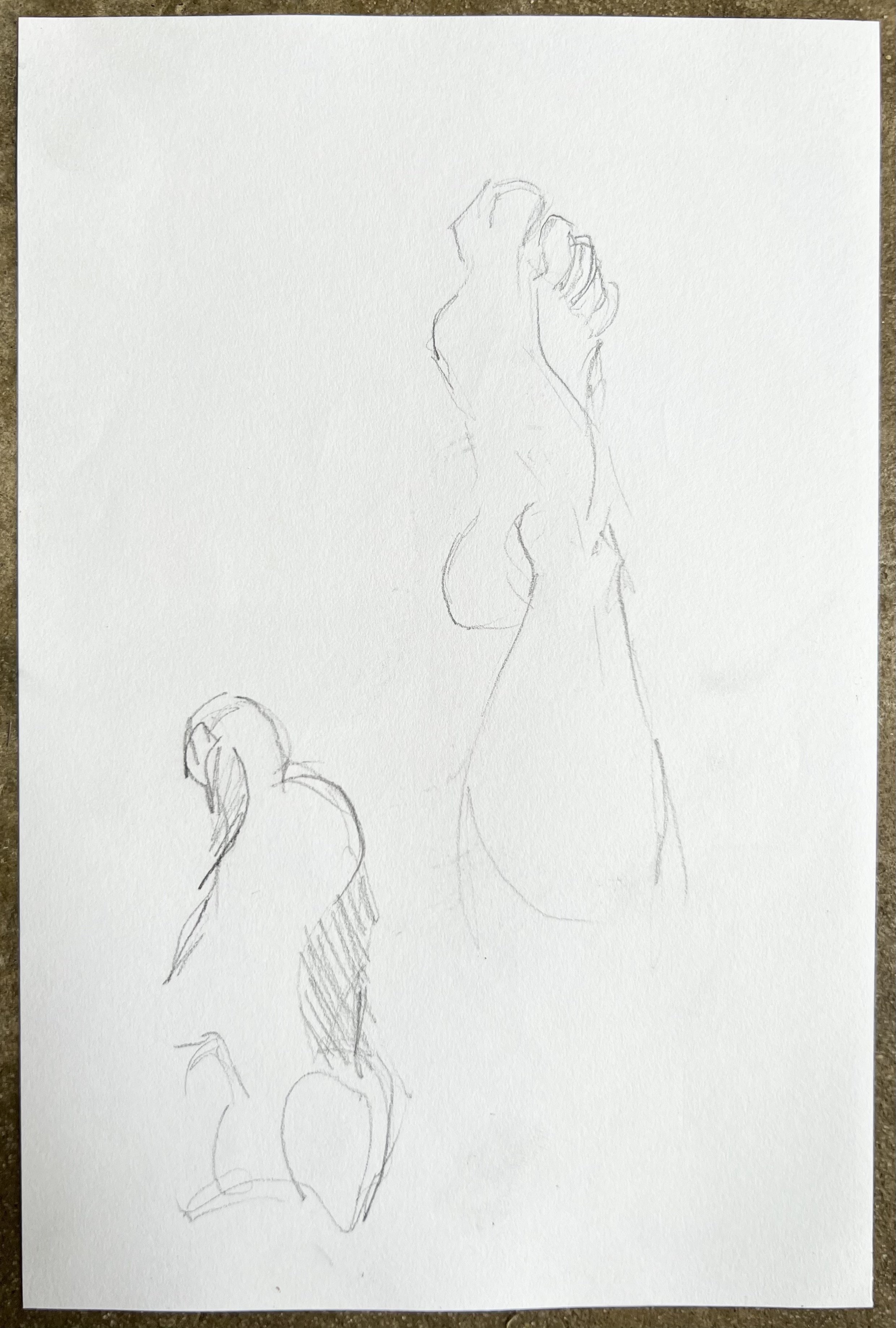 Foot study iii (reverse of Smoker study)