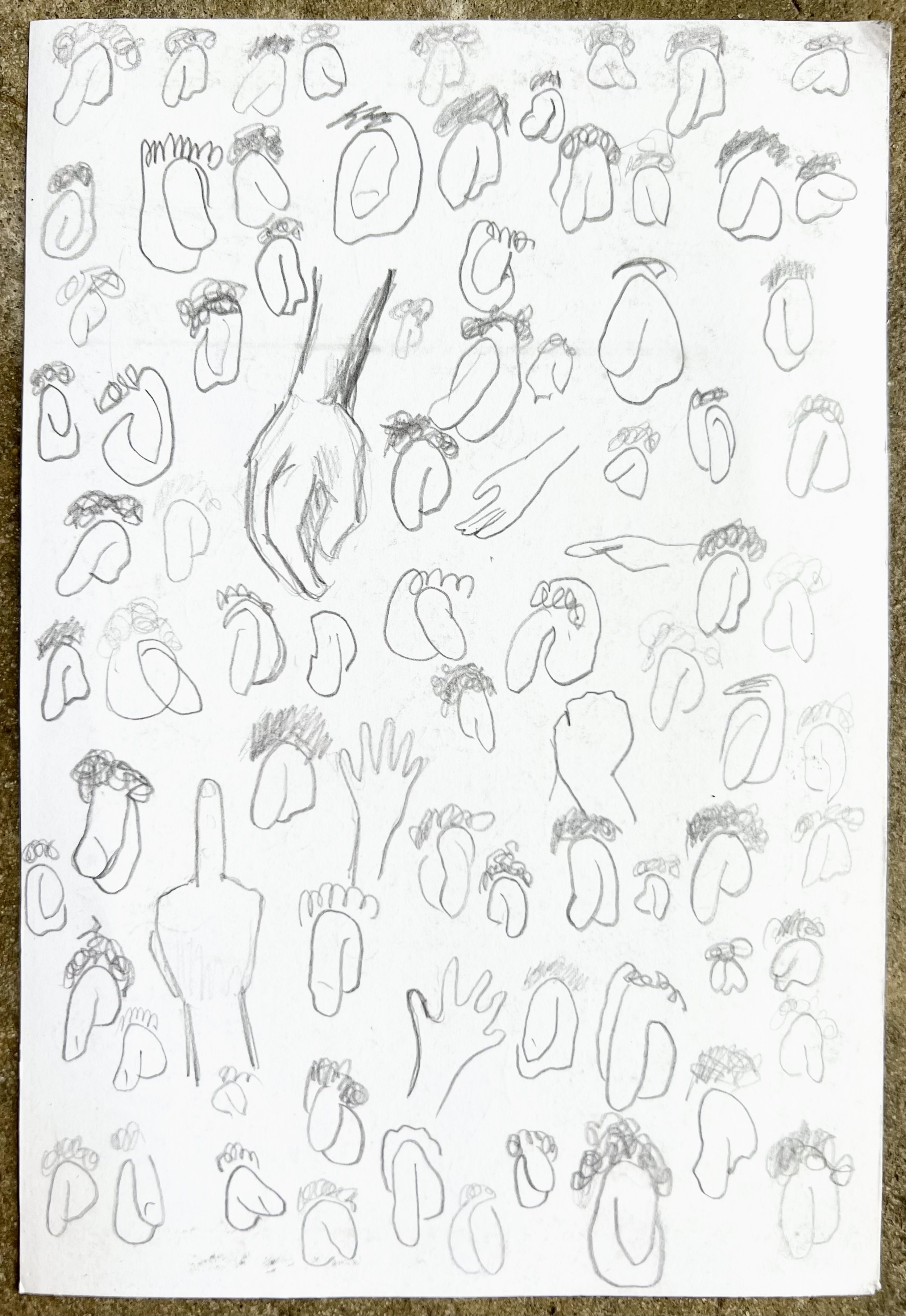 Cock studies iii (reverse of Cock studies ii)