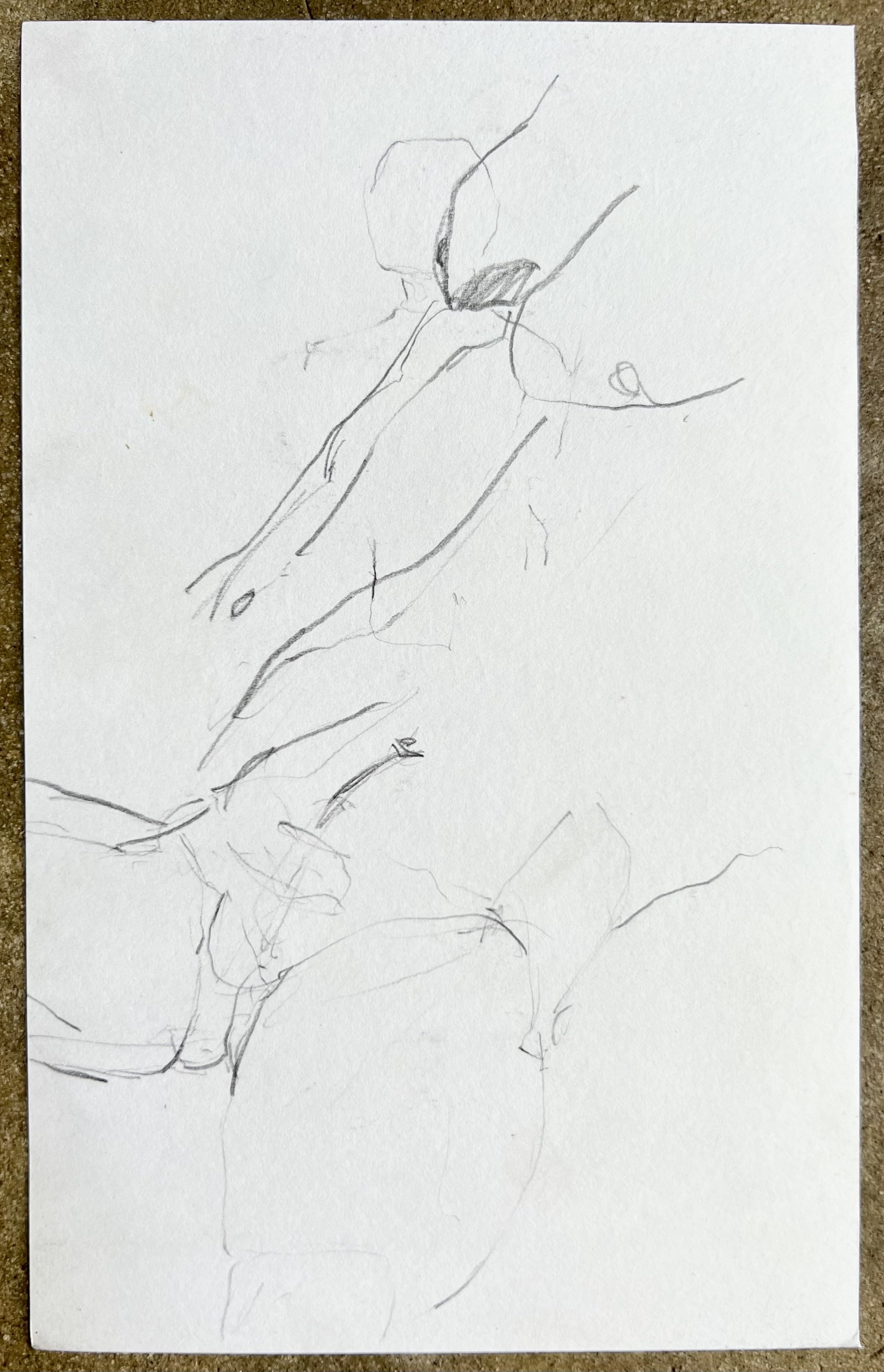 Male figure study xii