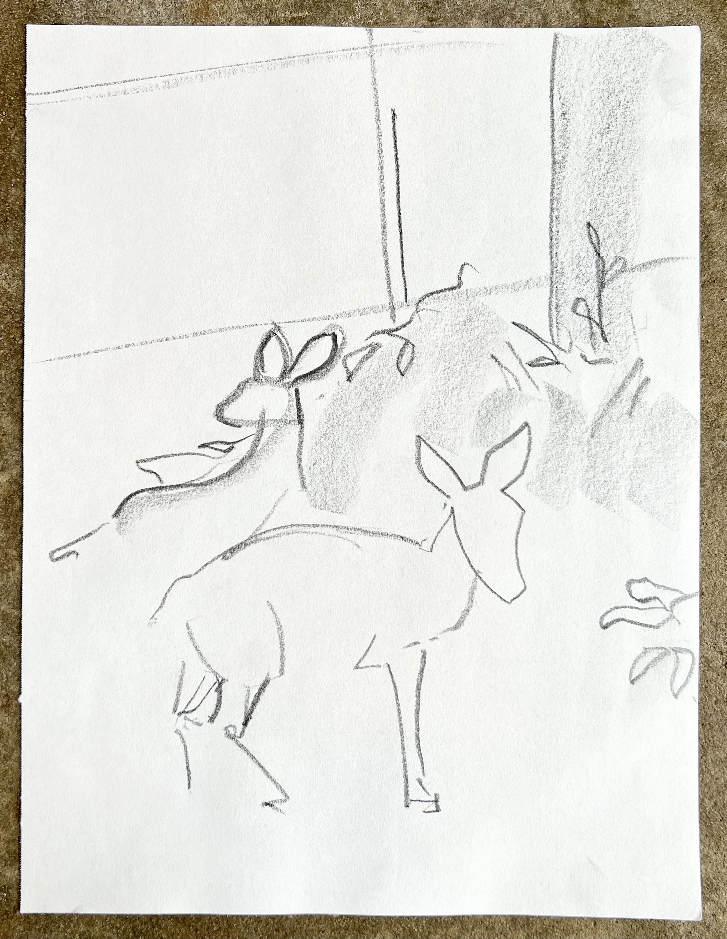 Deer study