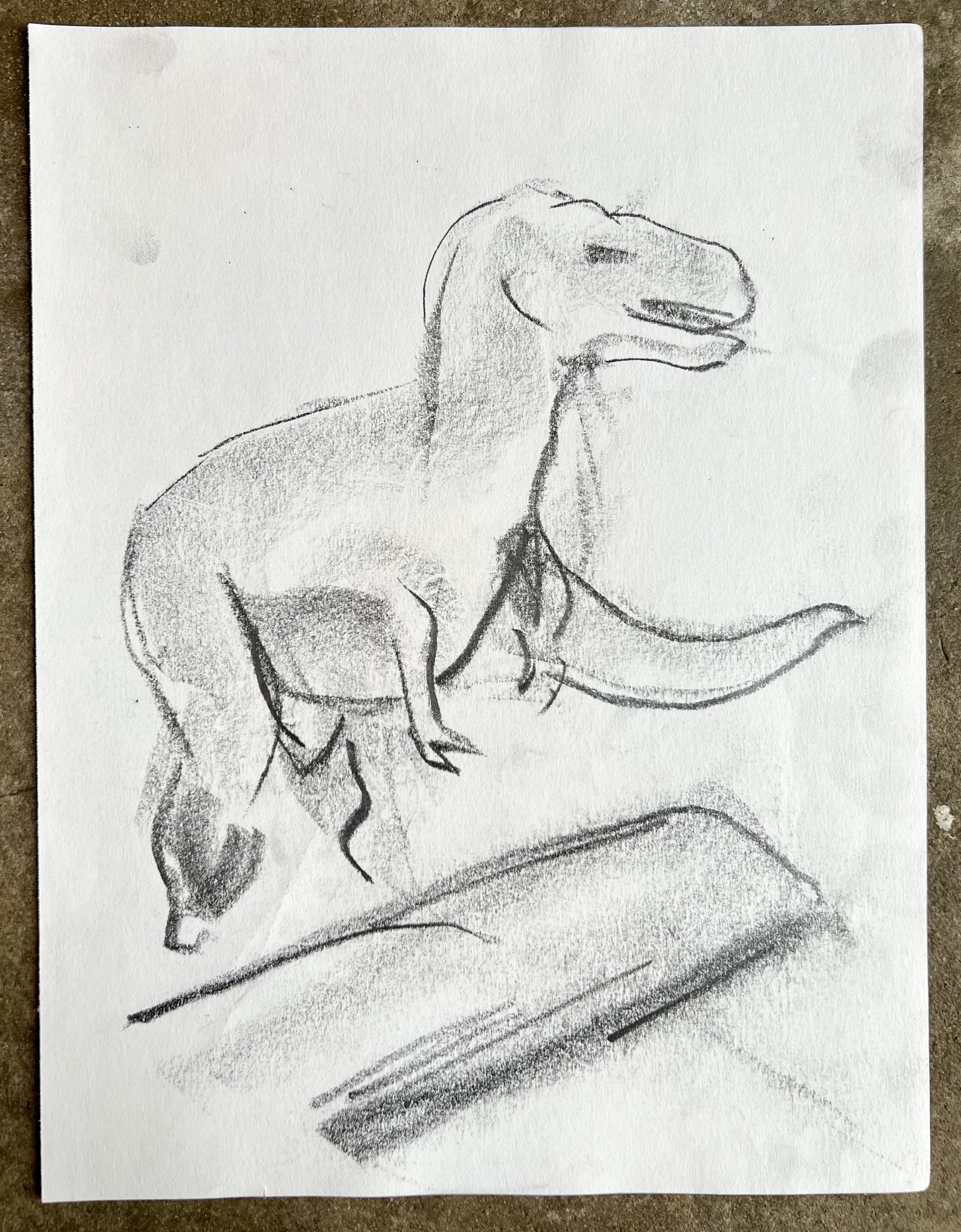 T-Rex study