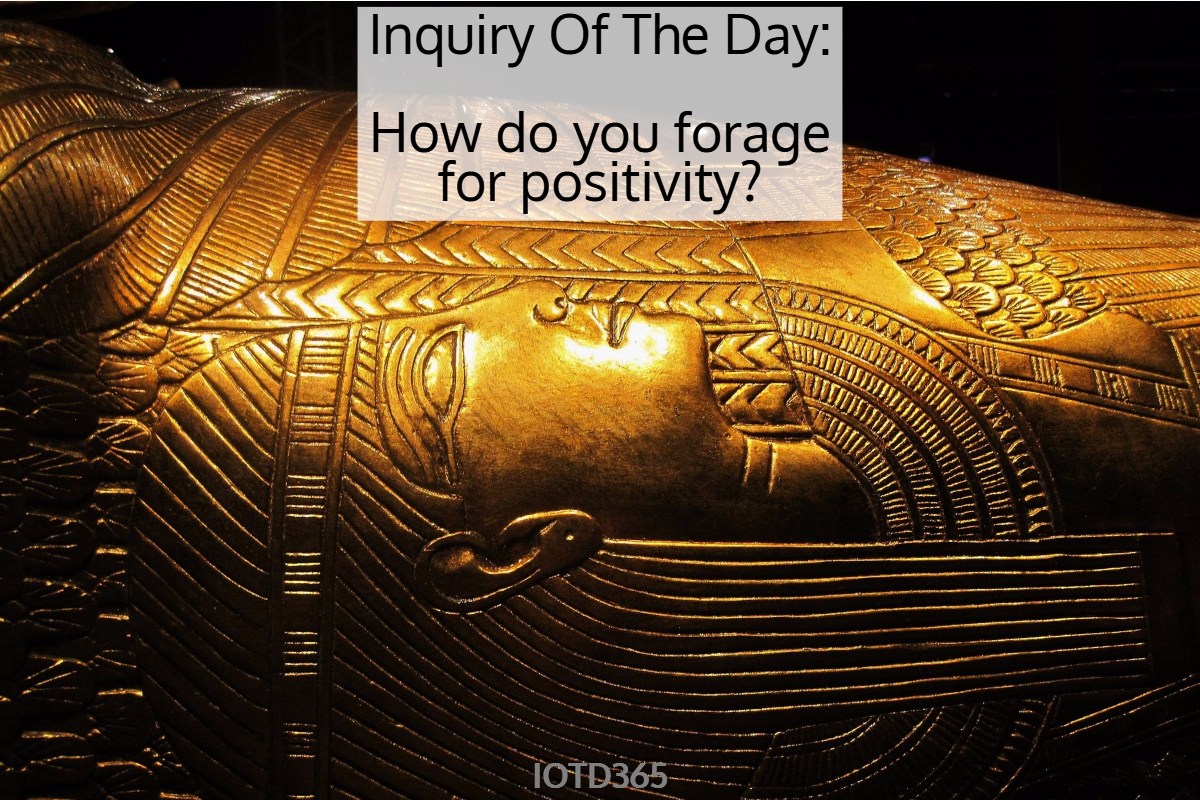 How do you forage for positivity?