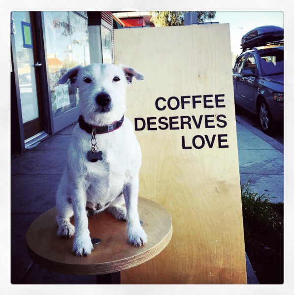 harper says coffee deserves love.png