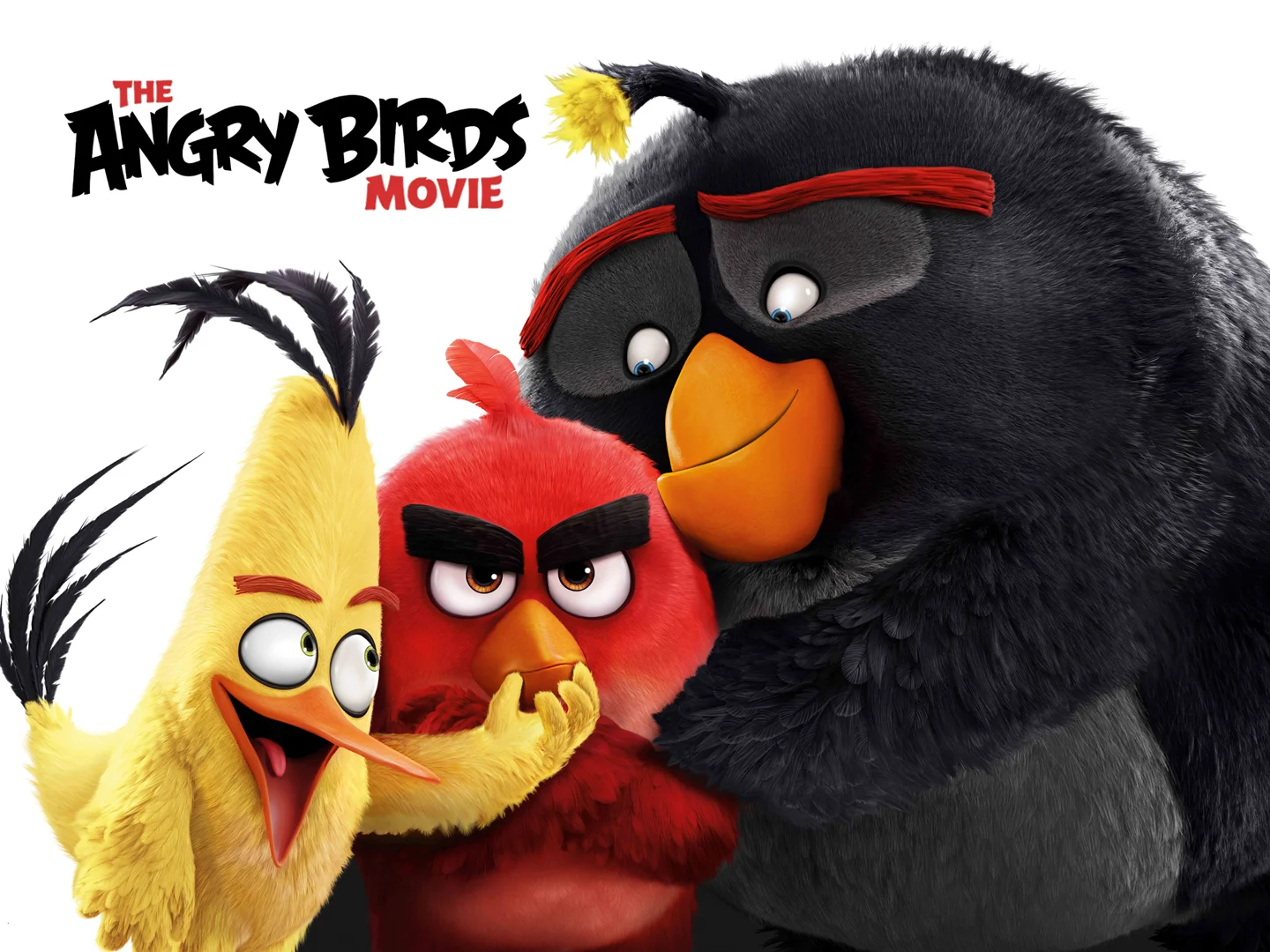 5409628_TheAngryBirdsMovie_43_VOD.jpg