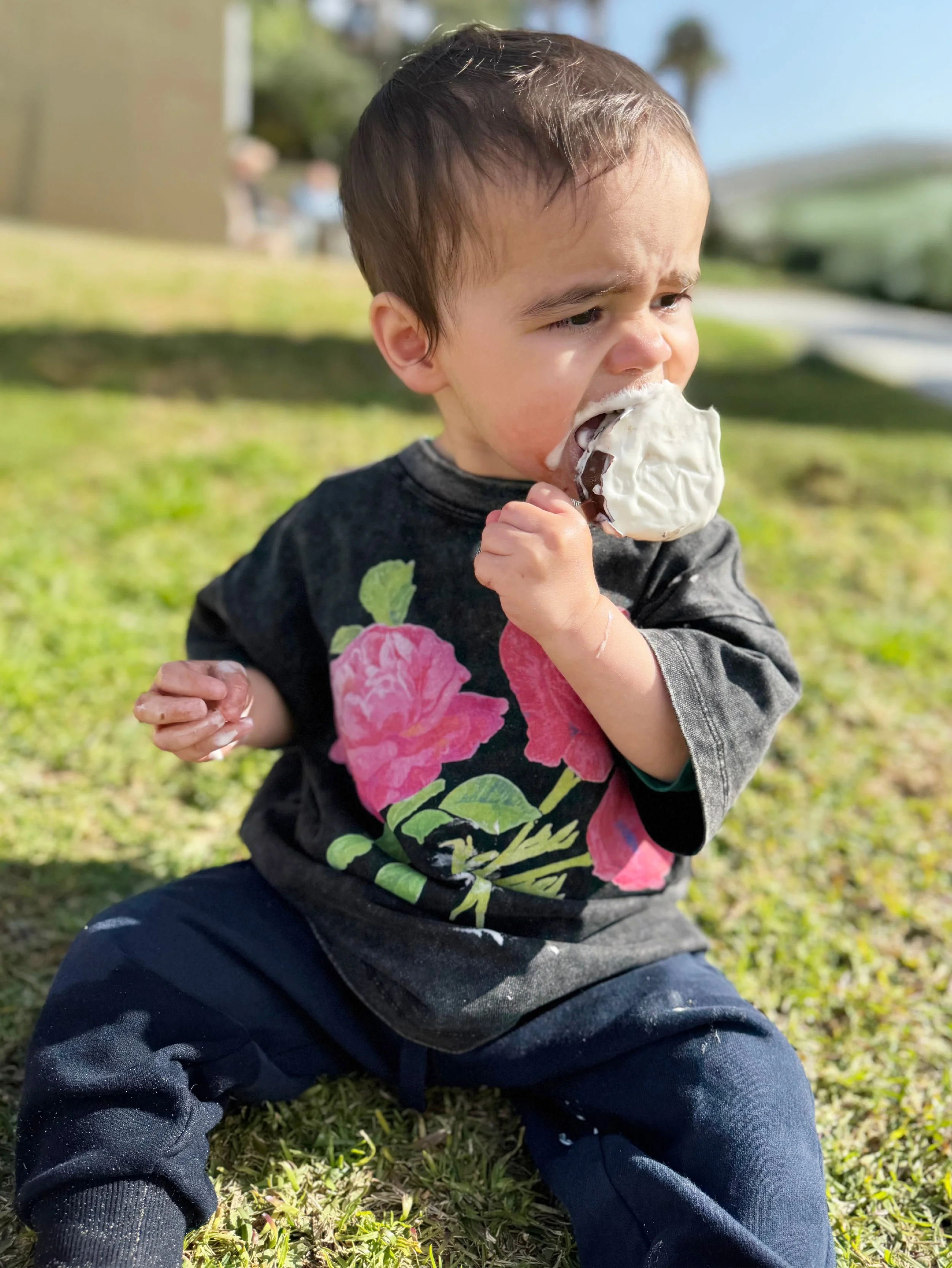 insta_art_stories_rose_poppy_t-shirt2.jpg