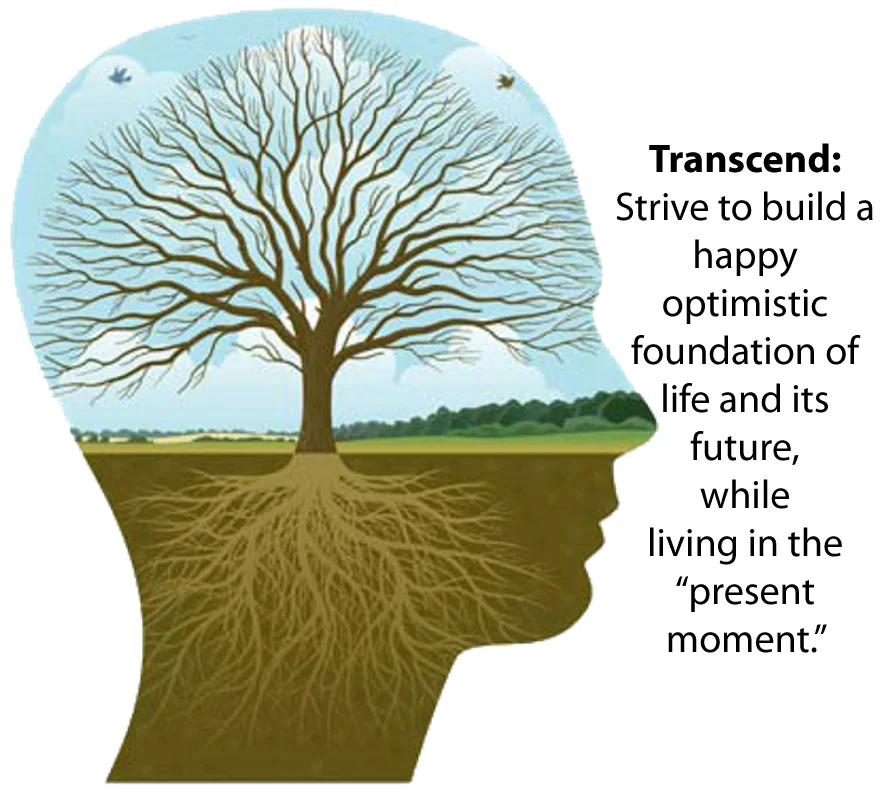 Transersonal.jpg