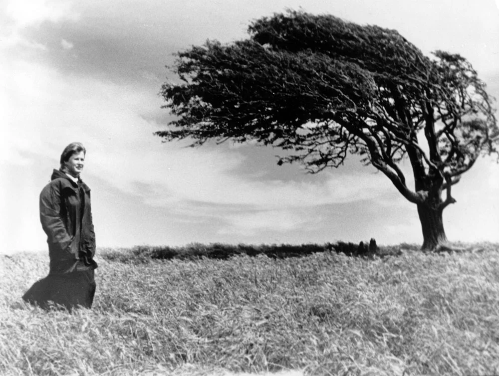 Bruce Montgomery's iconic Wesley Vale photo. He was journalist and photographer at The Australian newspaper.