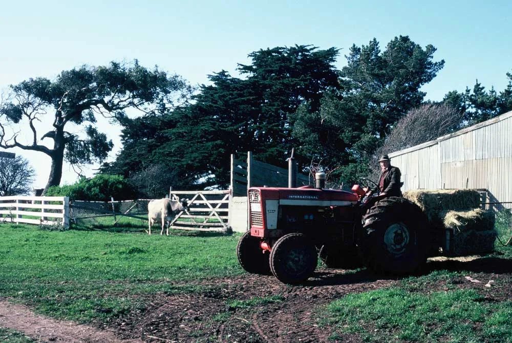 Dad on his tractor at Wesley Vale.