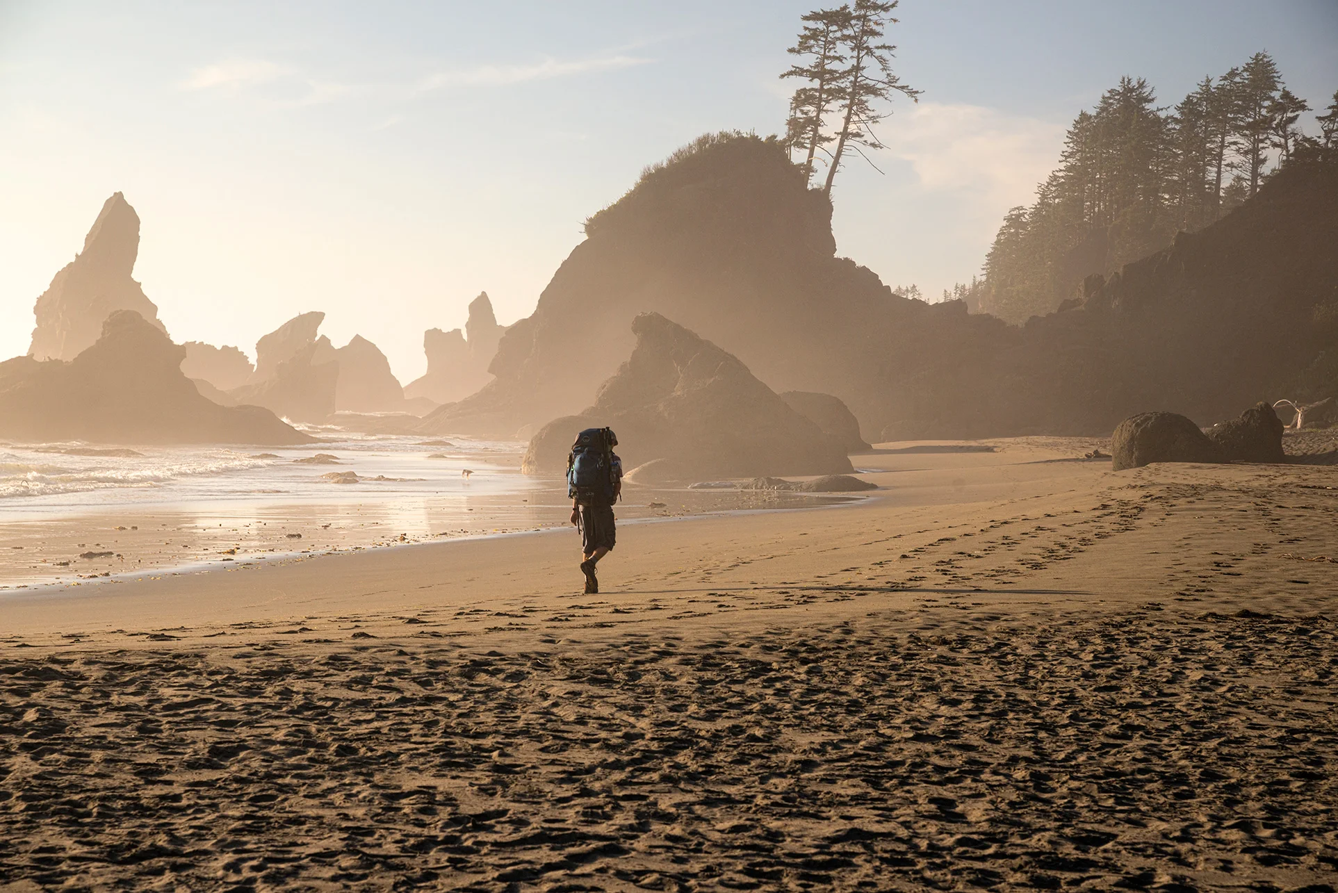 Shi Shi Beach, Olympic National Park, WA