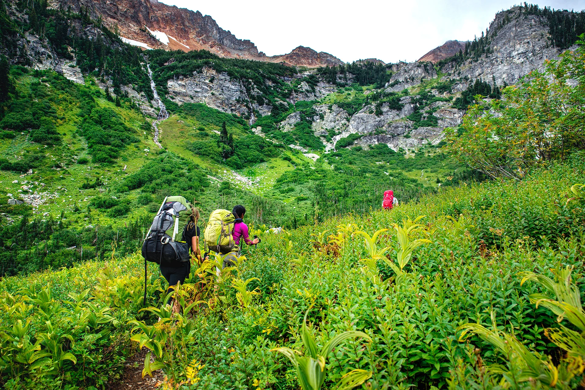 Spider Meadow, WA