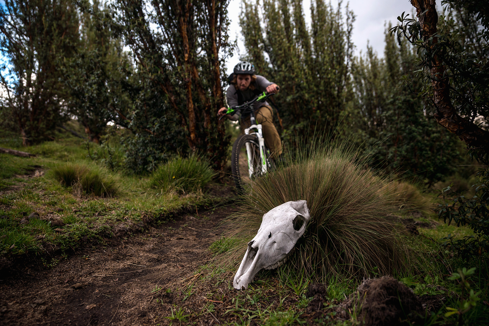 Our first few days were spent at Tierra del Volcan, an idyllic lodge set in the Paramo at the base of Ecuador's second tallest peak, Cotopaxi. Unable to climb due to the mountain's volatile volcanic activity, we rode horseback, ran single track on mountain bikes, and hiked the foothills of nearby Rumiñahui, while acclimatizing for our next objectives.