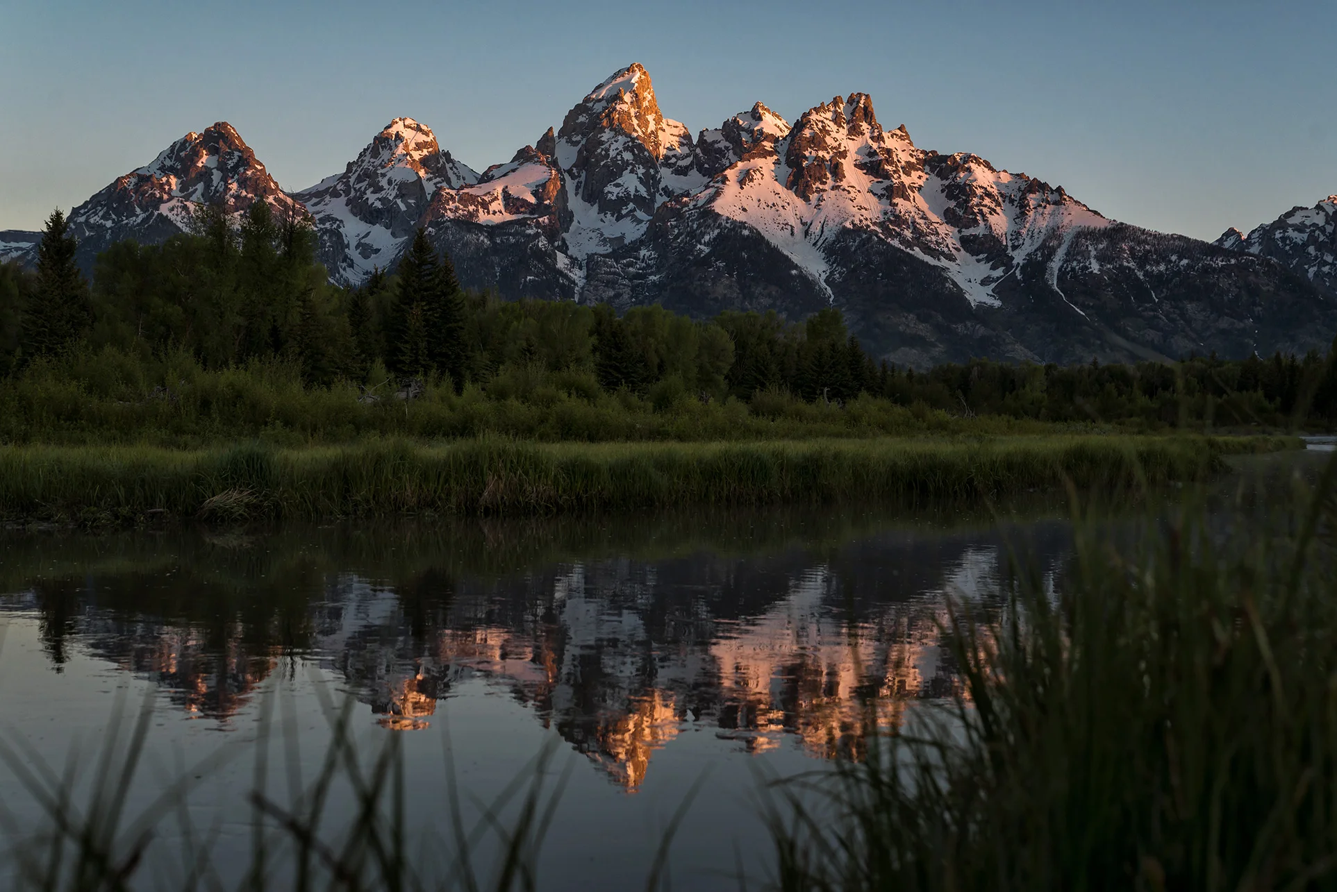 Schwabacher's Reflection