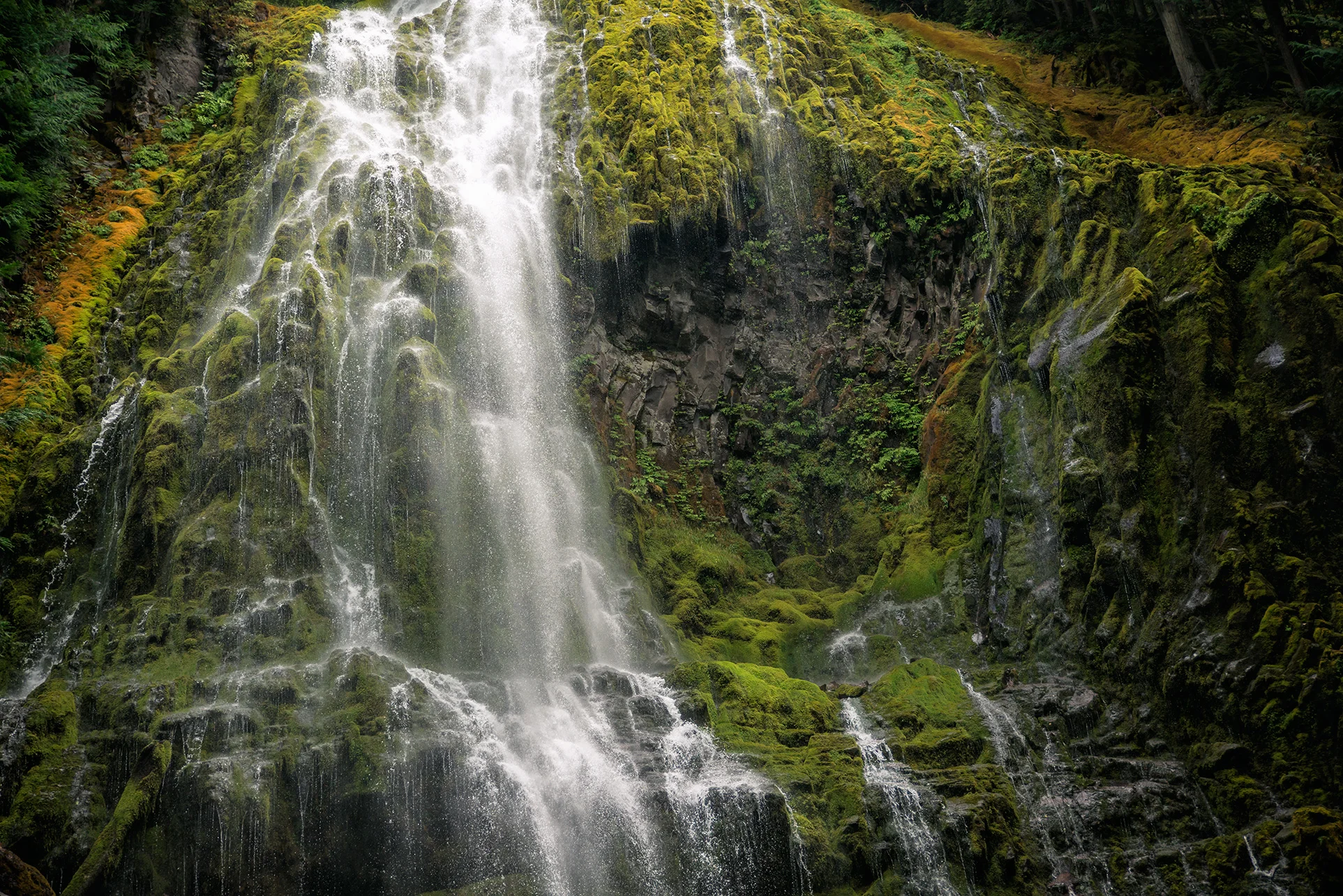 Proxy Falls Magic