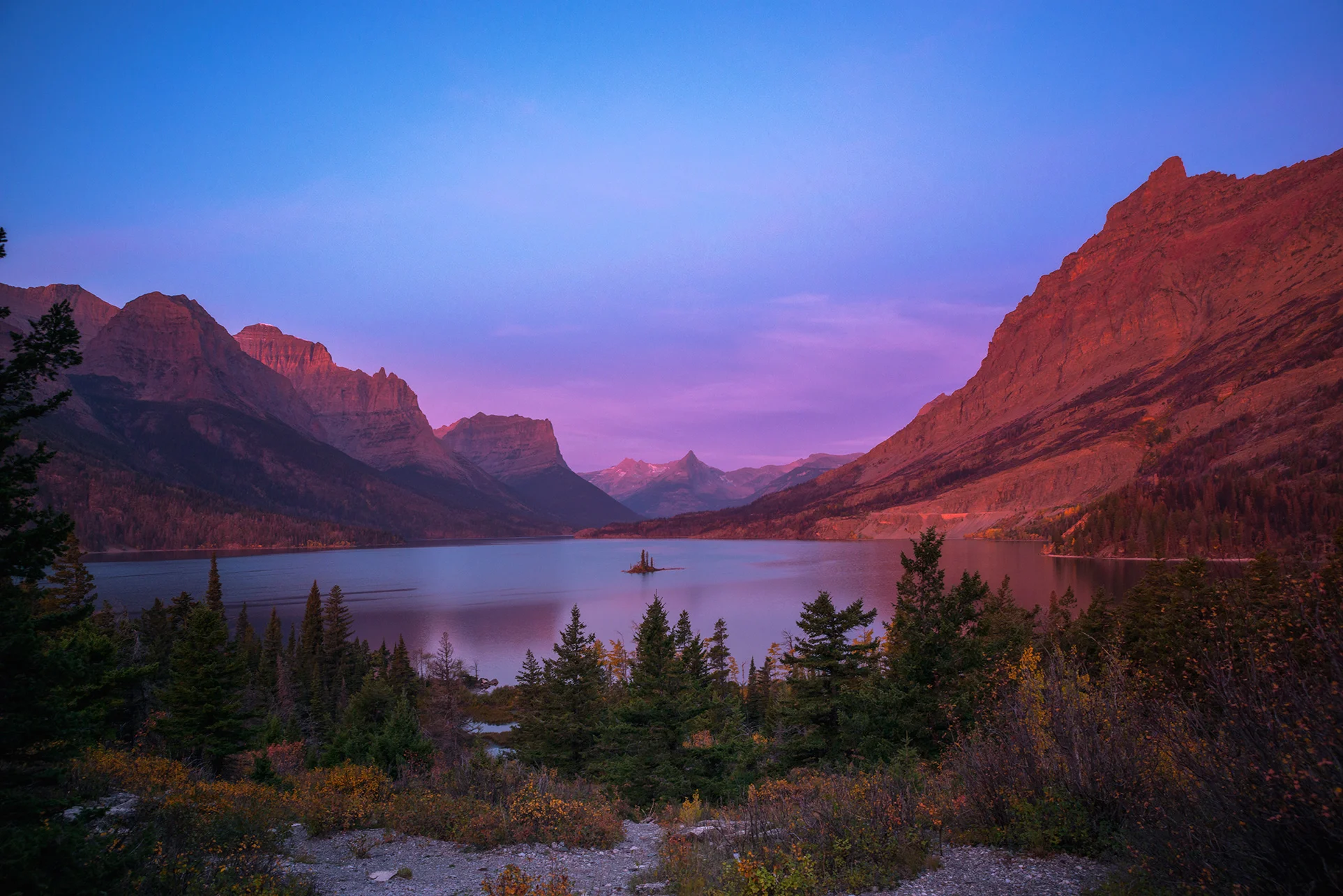 Goose Island Pastels
